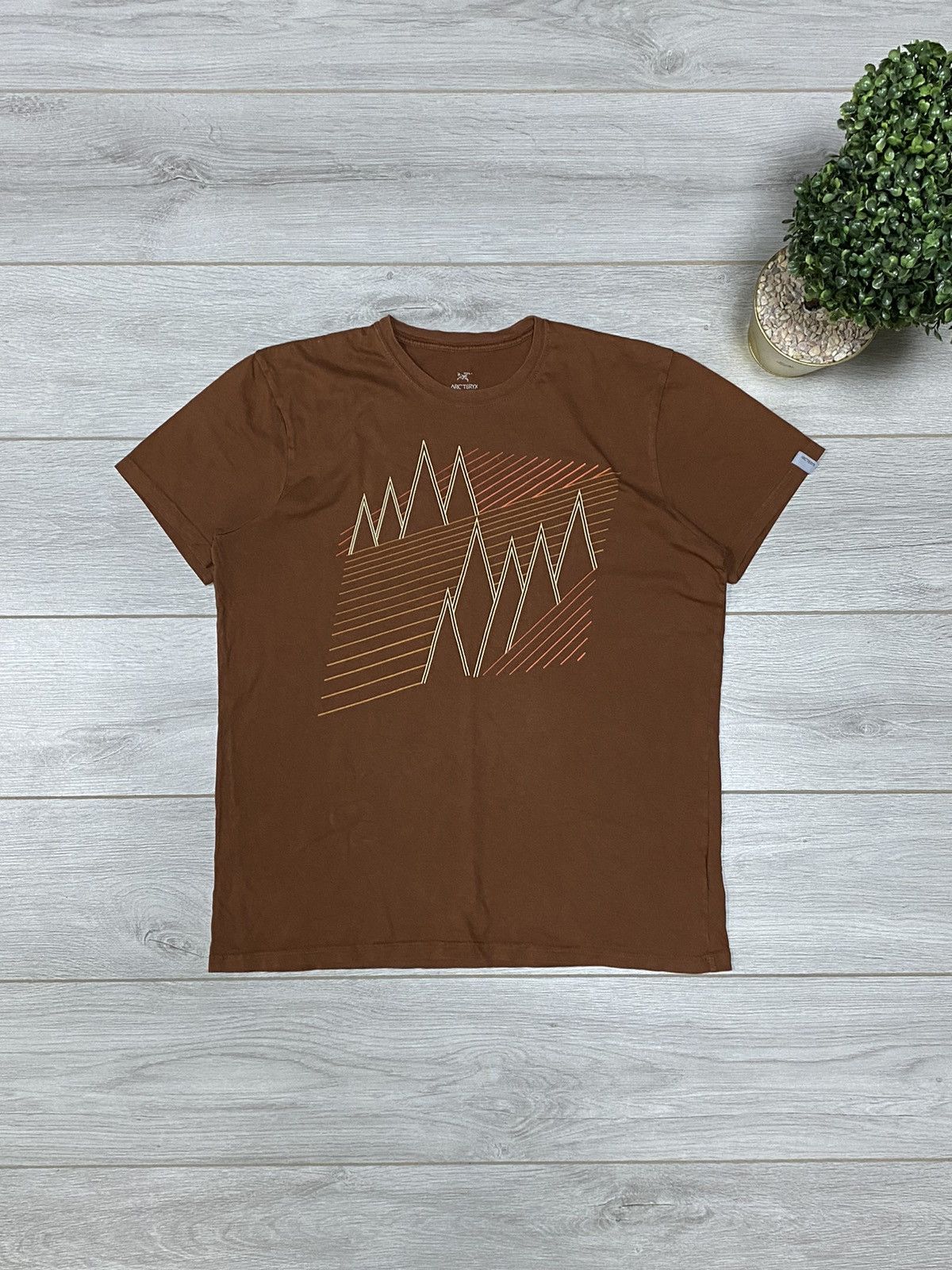 Arc'teryx Arcteryx bird vintage mountain t-shirt Size US L / EU 52-54 / 3 - 1 Thumbnail
