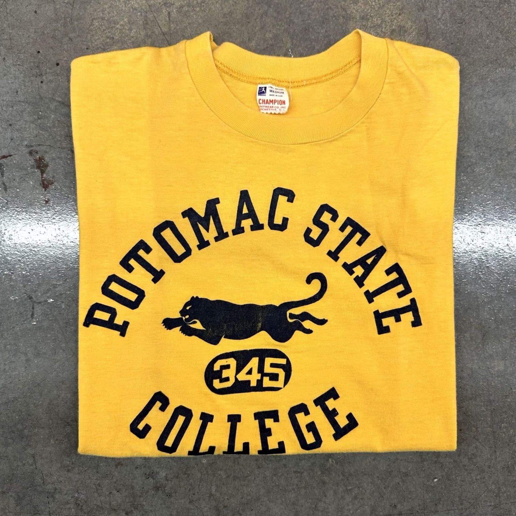 Champion VINTAGE Champion Running Man T Shirt Mens 1950s 60s Potomac State College Panther Yellow M Size US M / EU 48-50 / 2 - 2 Thumbnail