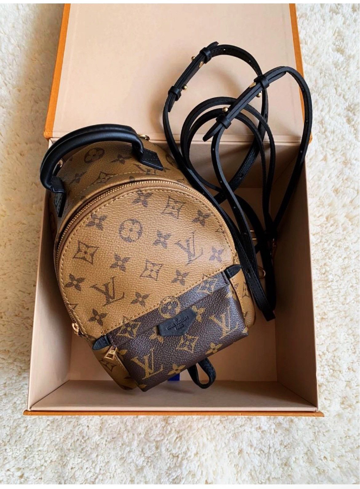 Louis Vuitton Authentic Louis Vuitton Reverse Mon. Palm Spr. Mini Backpack Size ONE SIZE - 2 Thumbnail