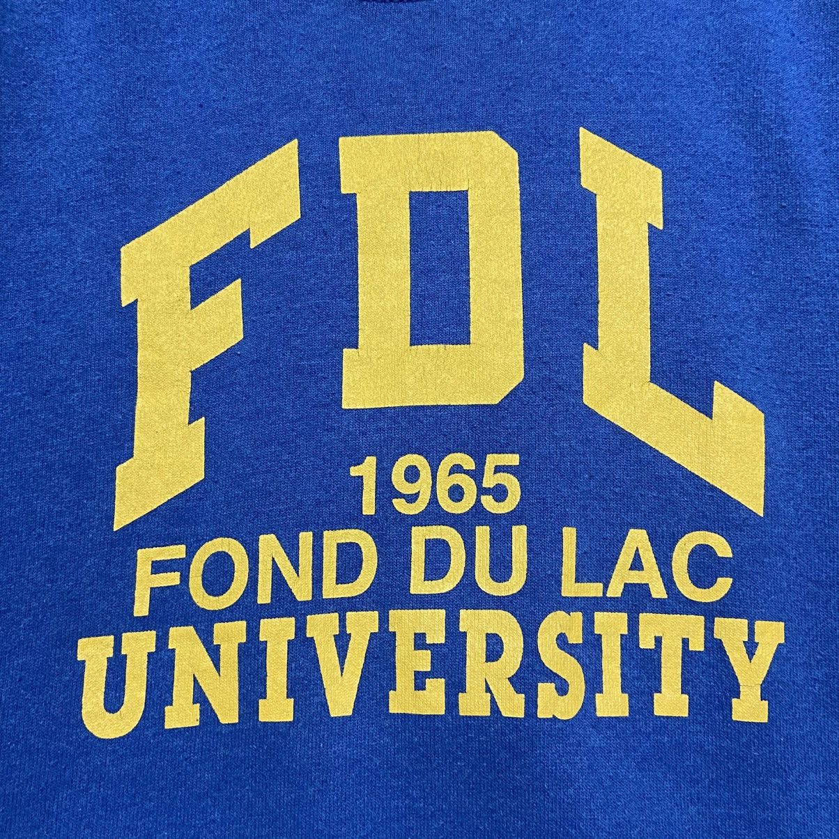 Fruit Of The Loom × Vintage Vintage 80s Fond Du Lac University Crewneck Size US S / EU 44-46 / 1 - 3 Thumbnail