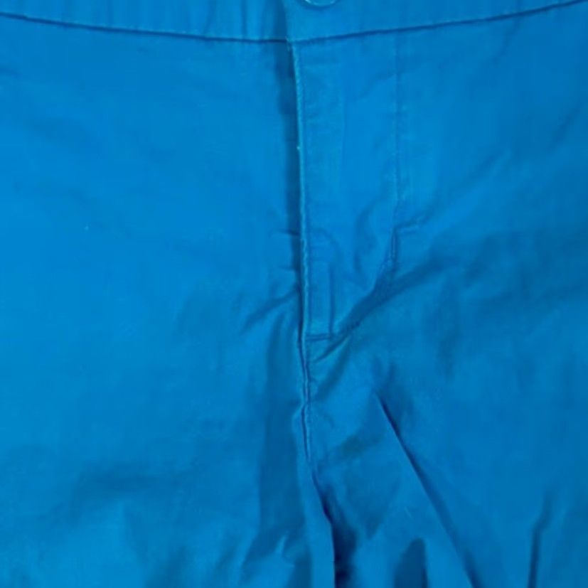 Patagonia VINTAGE Patagonia Women's Stretch All-Wear Shorts Blue 8 Women's Shorts Blue 8 Patagonia All-Wear Shorts Women 8 Blue Size 30" / US 8 / IT 44 - 3 Thumbnail
