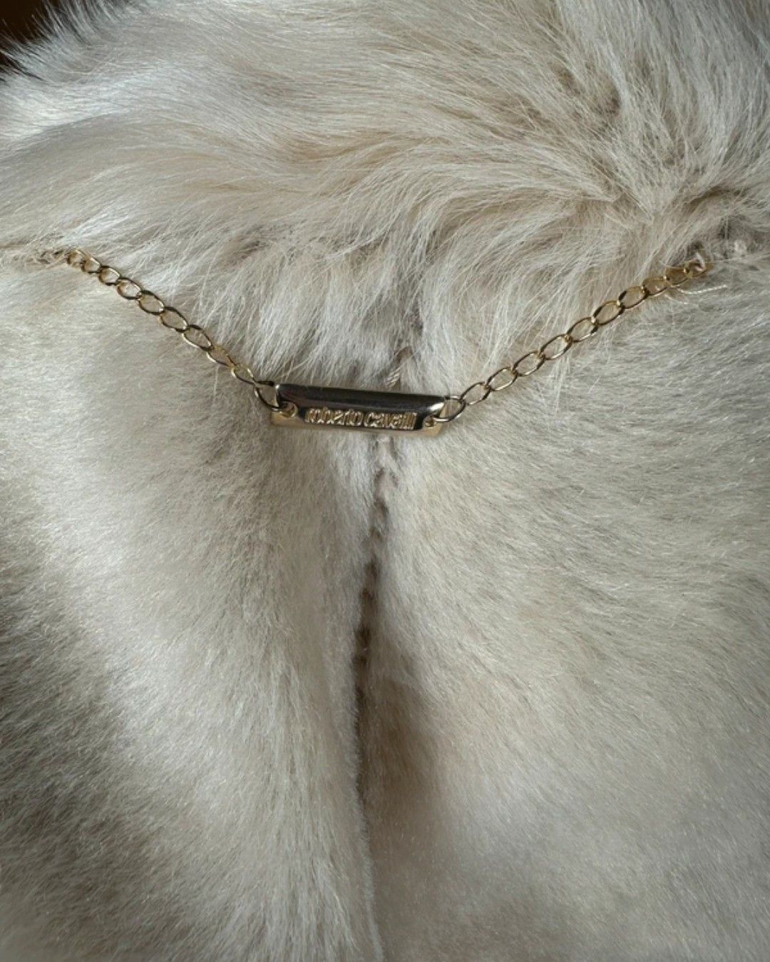 Roberto Cavalli F/W 2001 SHEEP FUR SHEARLING RAW STITCHED COAT Size M / US 6-8 / IT 42-44 - 4 Thumbnail