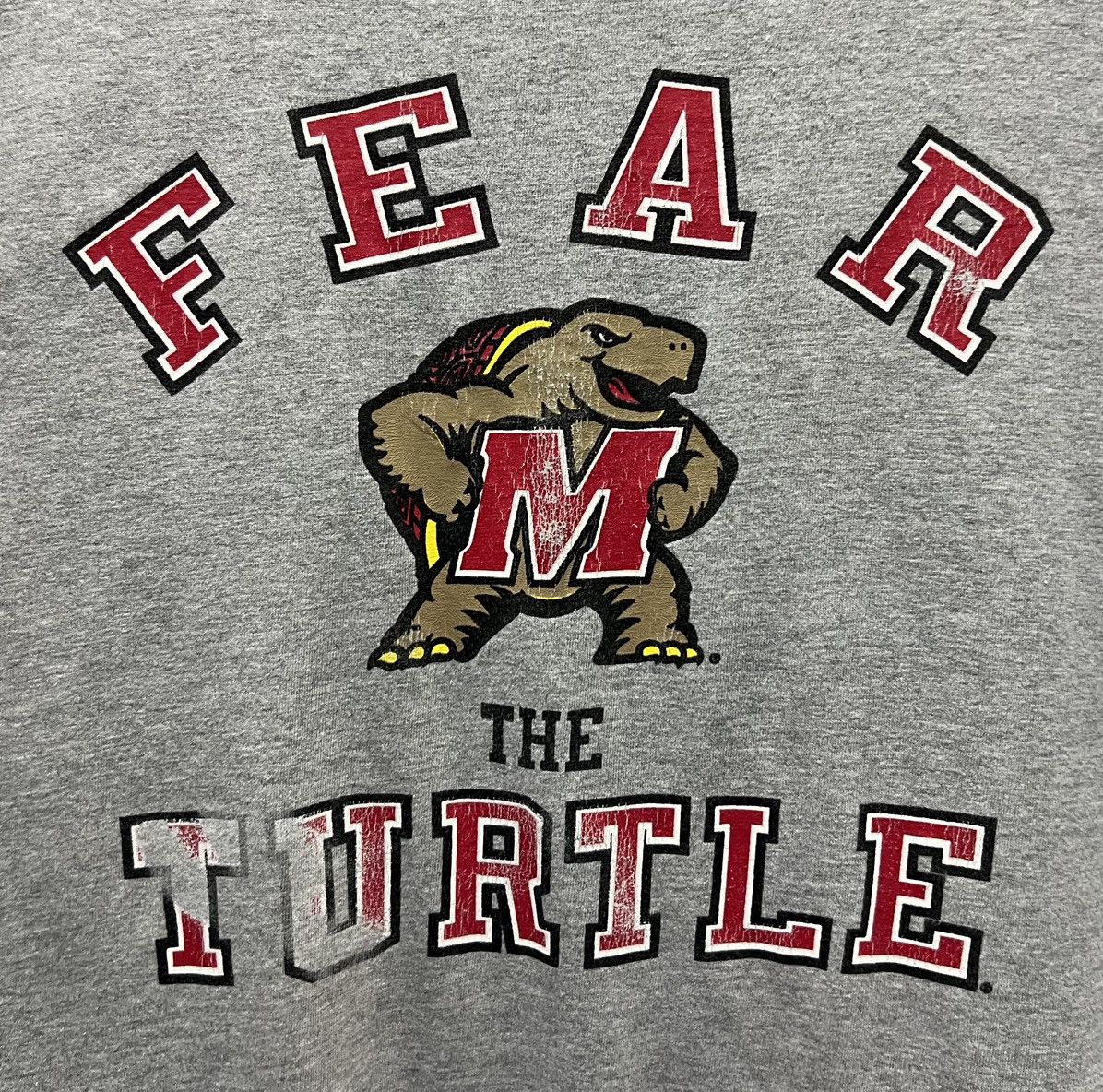 Champion × Vintage VINTAGE CHAMPION FEAR M THE TURTLE SHIRT Size US L / EU 52-54 / 3 - 3 Thumbnail