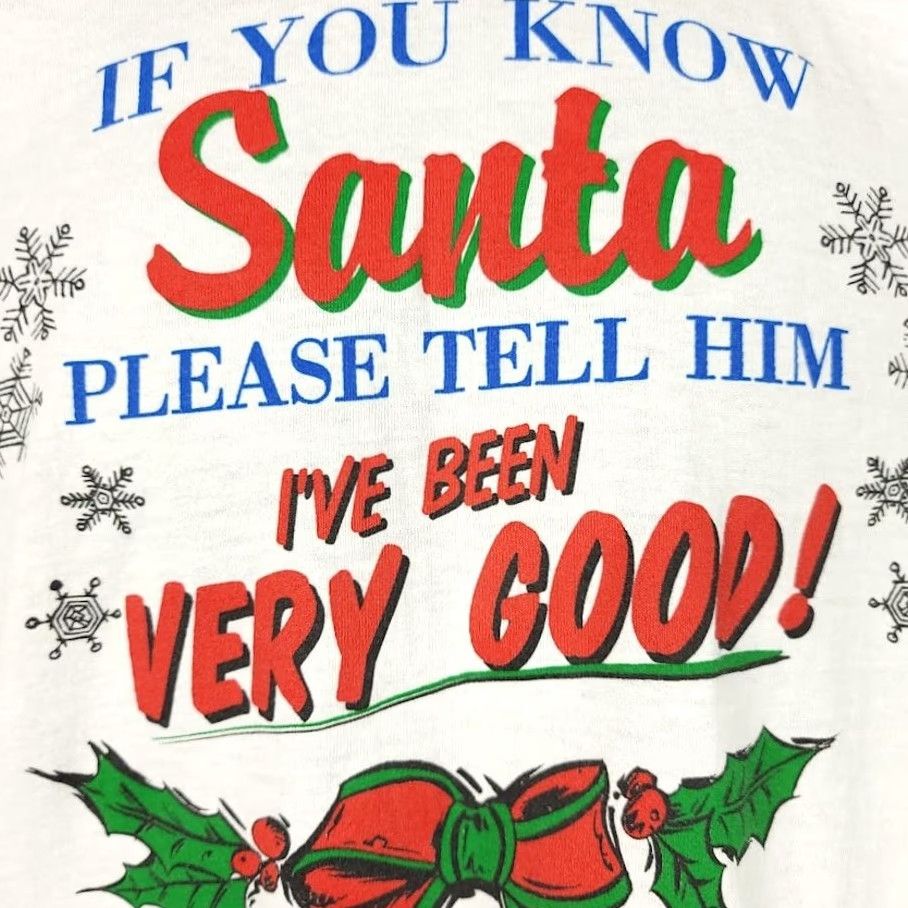 Fruit Of The Loom VINTAGE Christmas T Shirt Mens Size Medium 90s If You Know Santa Made In USA Fruit of the Loom Shirt Mens 90s Christmas Holidays White Size US M / EU 48-50 / 2 - 3 Thumbnail