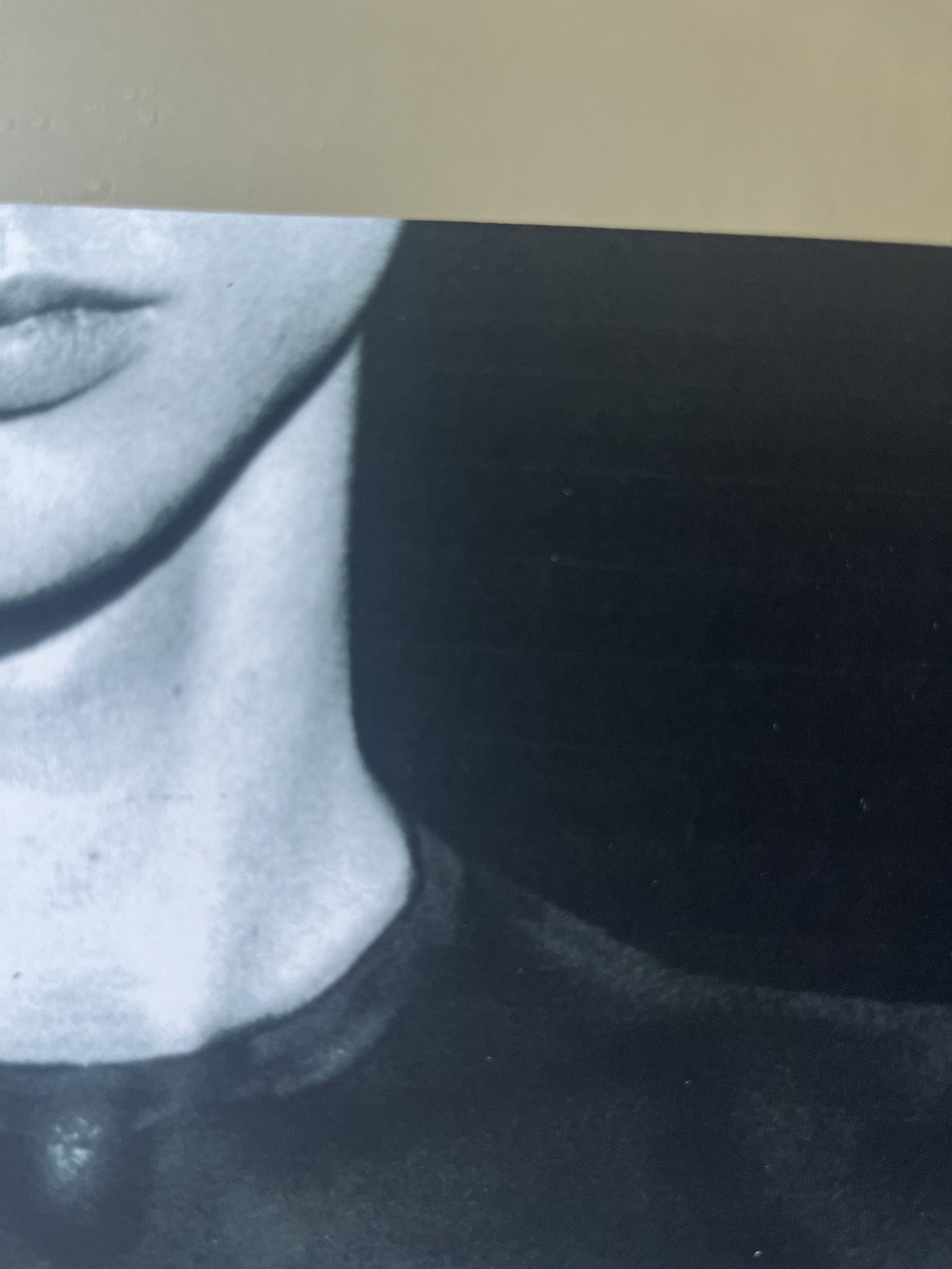 Raf Simons Raf Simons Spring Summer 1998 'BLACK PALMS' Promotion Poster Size ONE SIZE - 12 Thumbnail