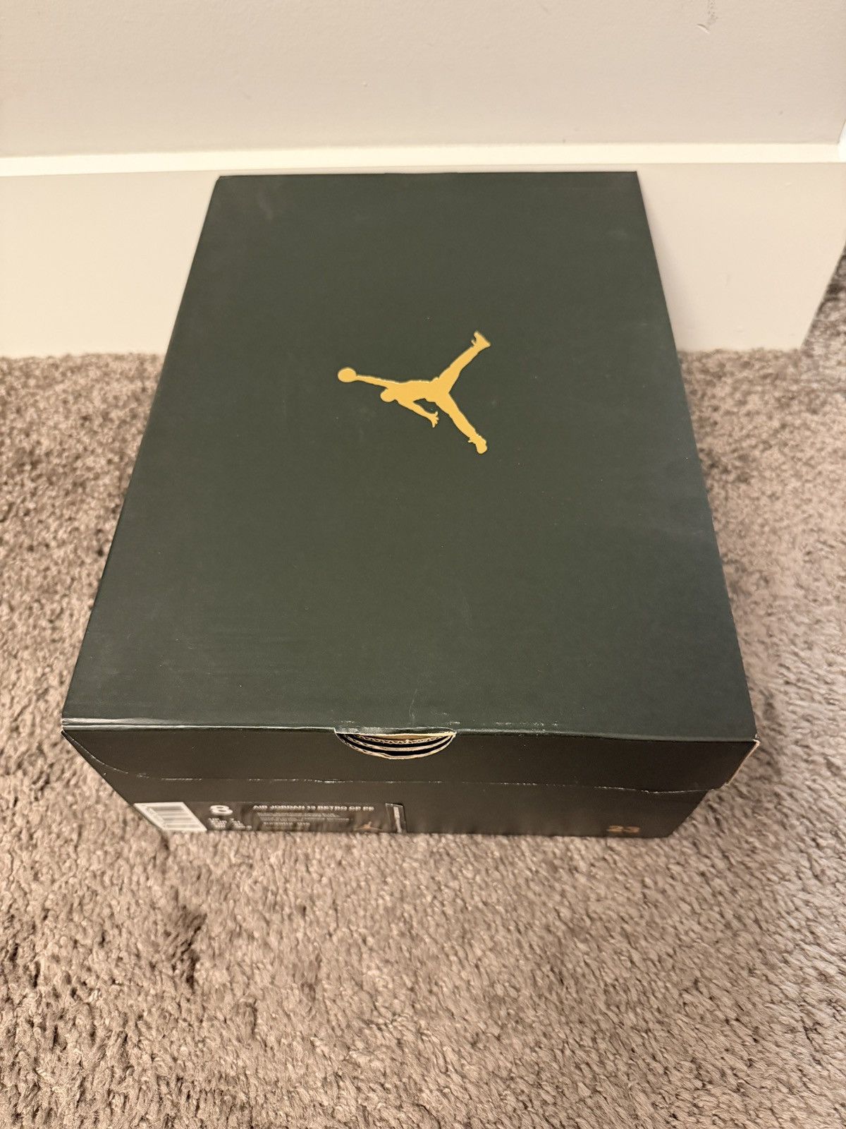 Nike 2015 Nike Air Jordan 13 XIII CP PE SZ 8 Style 823902 015 Size US 8 / EU 41 - 11 Thumbnail