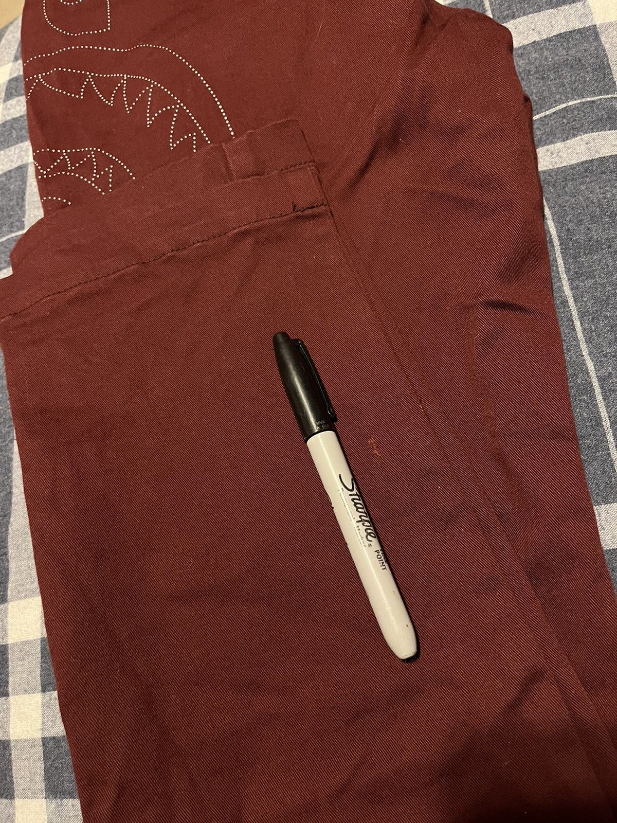 Side Shark Chino Pants