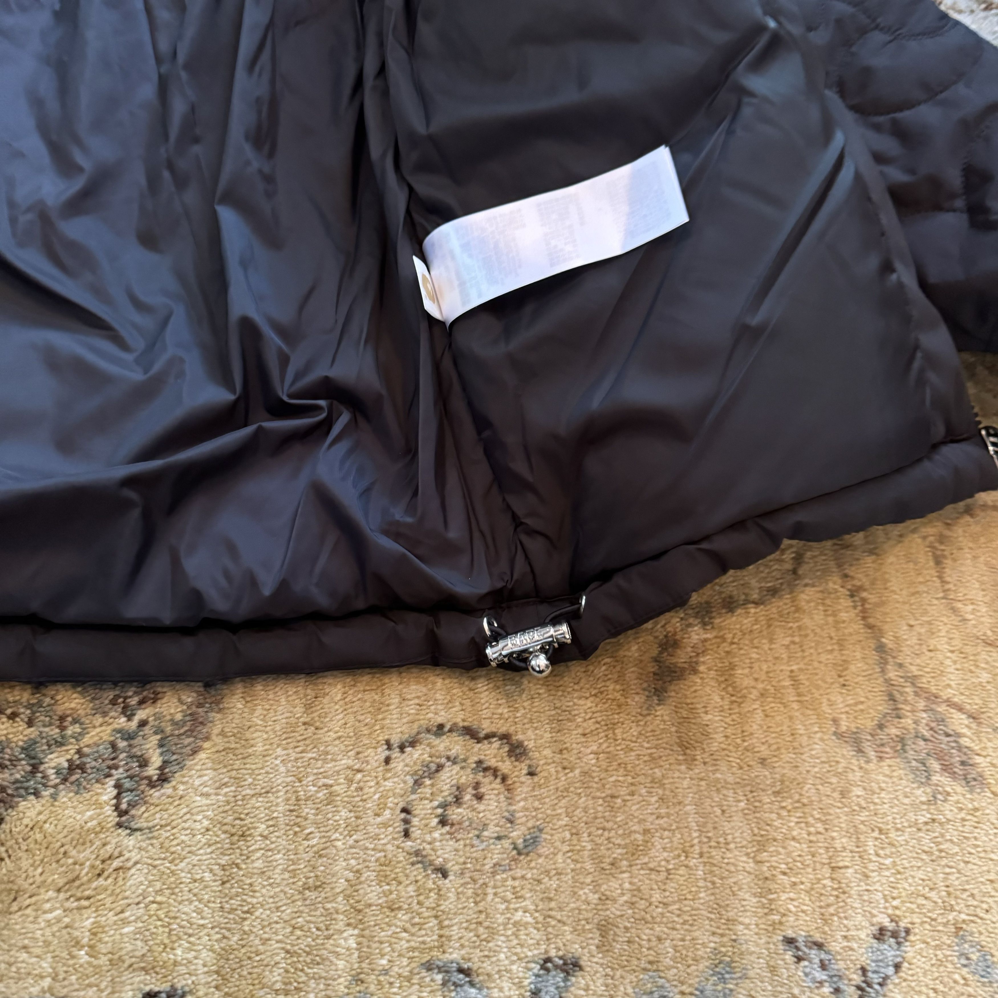 Shark Jacket
