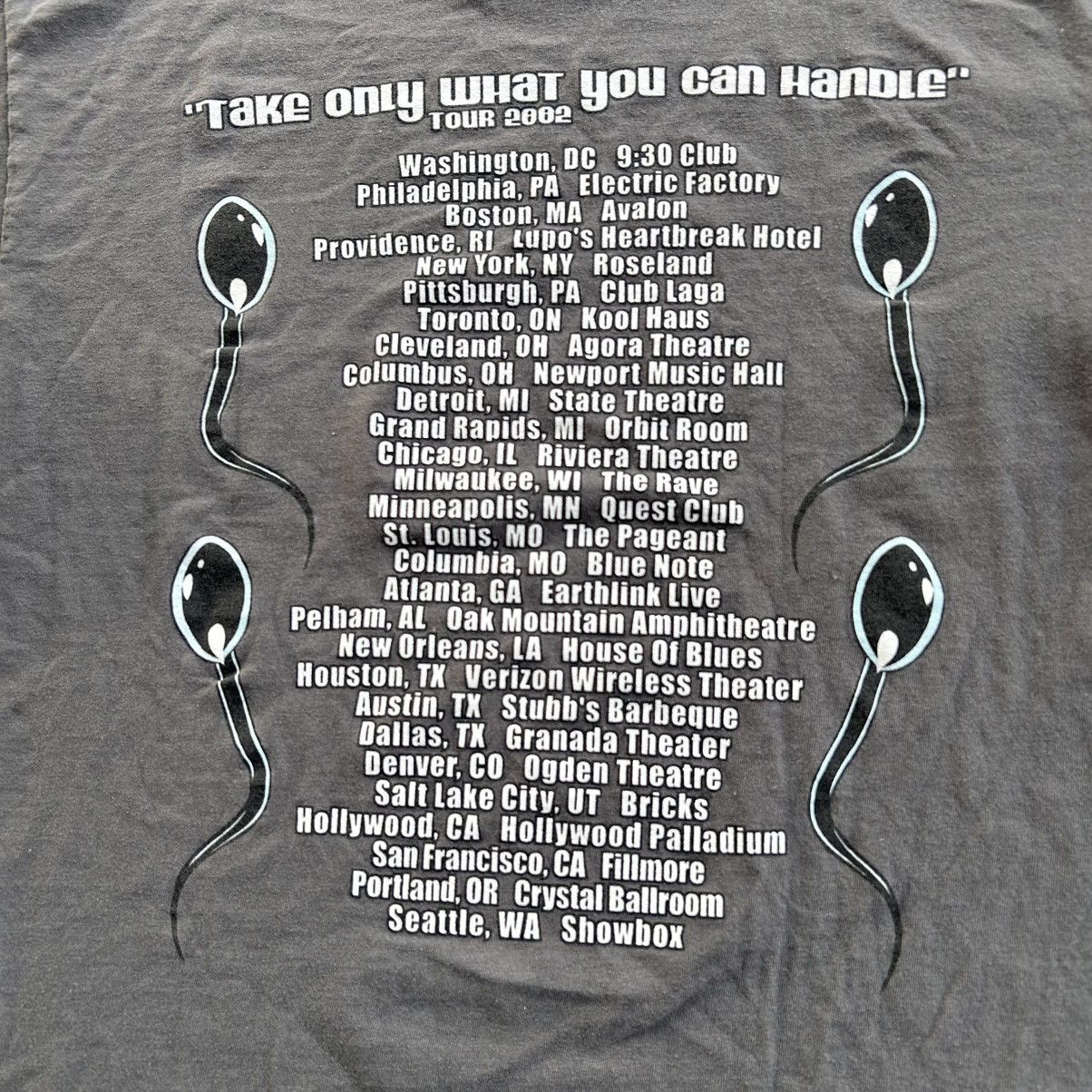 Band Tees Vintage 2002 Queens Of The Stone Age Tour Band T Shirt Size US L / EU 52-54 / 3 - 7 Thumbnail