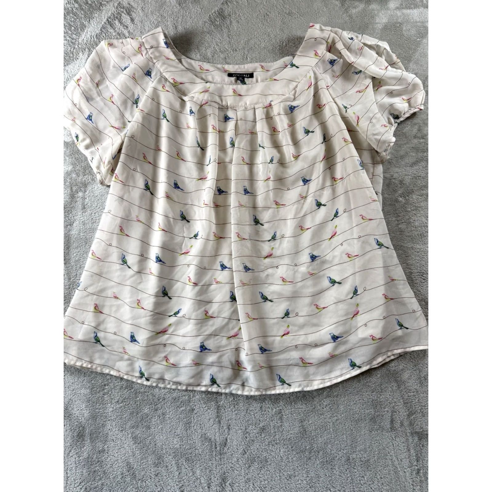 Vintage Roz And Ali Womens Bird Print Chiffon Blouse Top 3X Ivory Short Sleeve Cottage Size XXL / US 16-18 / IT 52-54 - 2 Thumbnail