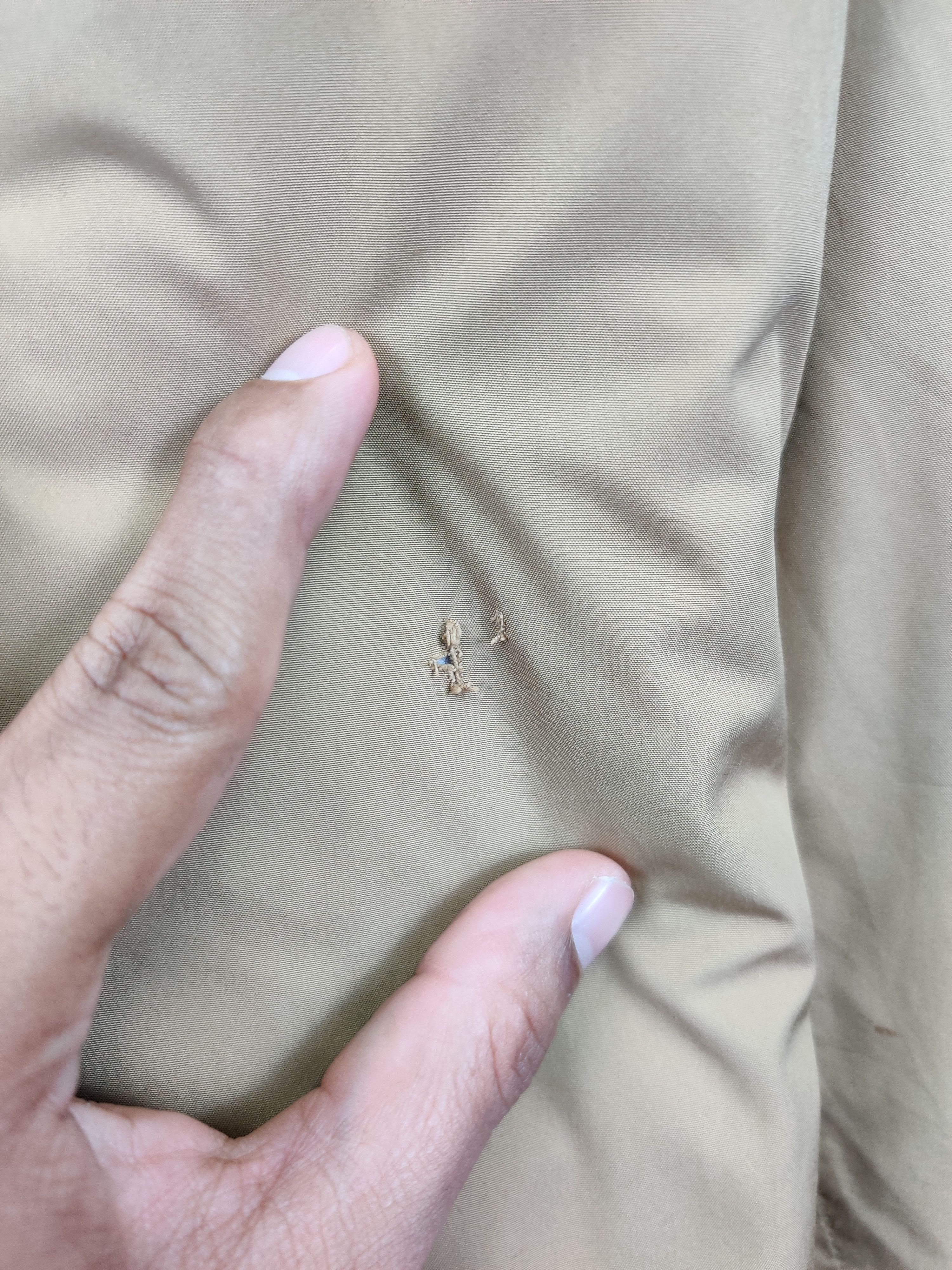 Polo Ralph Lauren Vintage Polo Ralph Lauren Beige Jacket Size US L / EU 52-54 / 3 - 13 Thumbnail