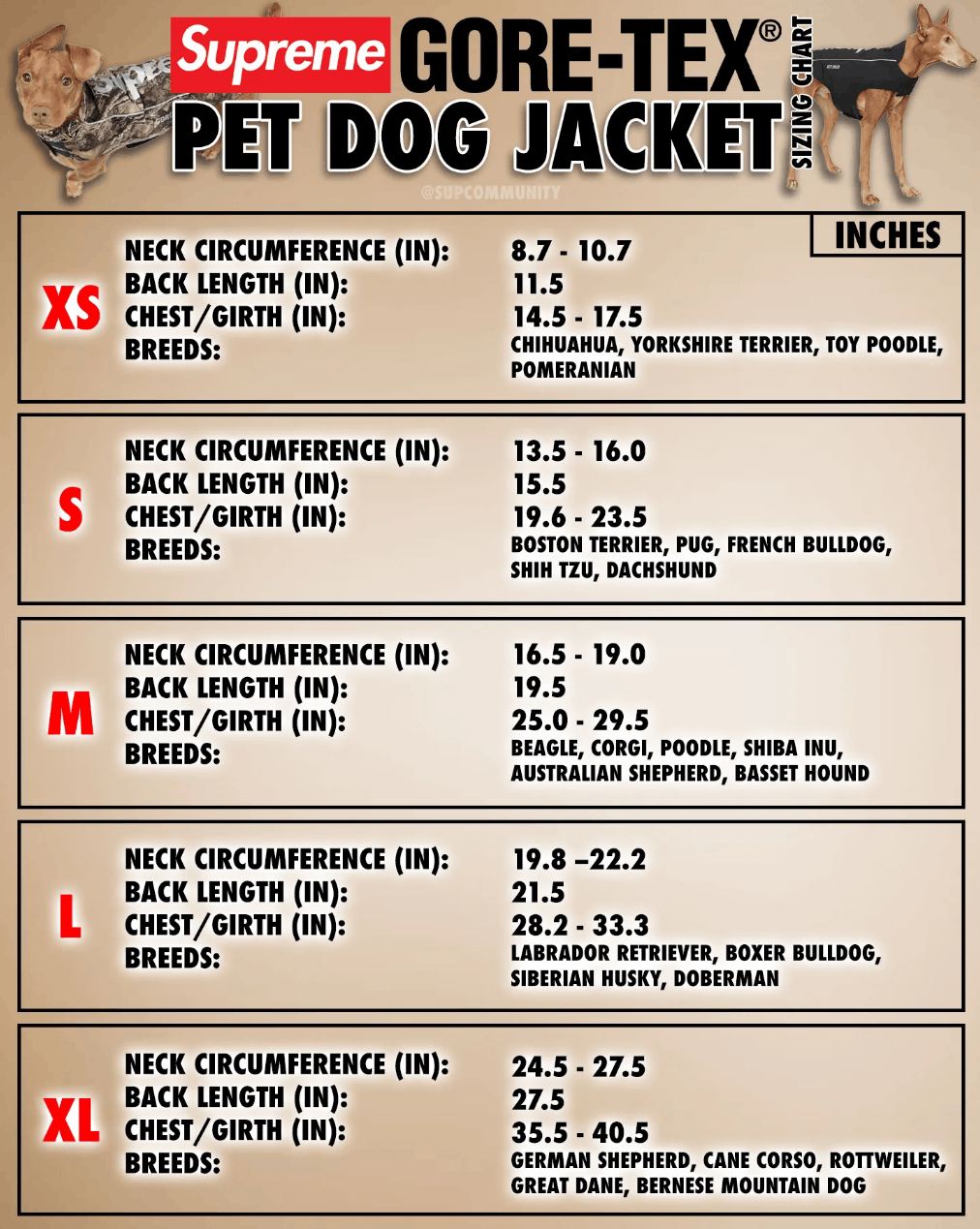 Supreme Supreme GORE-TEX Dog Jacket XS Size ONE SIZE - 5 Thumbnail