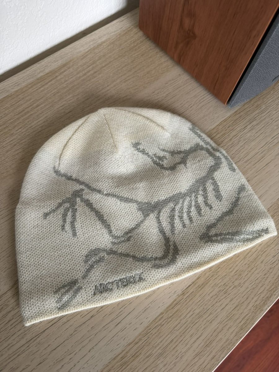 Arc'teryx Arc’teryx Bird Head Toque gently used Size ONE SIZE - 1 Thumbnail