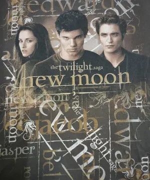Other THE TWILIGHT SAGA NEW MOON MOVIE TEE Size US L / EU 52-54 / 3 - 11 Thumbnail
