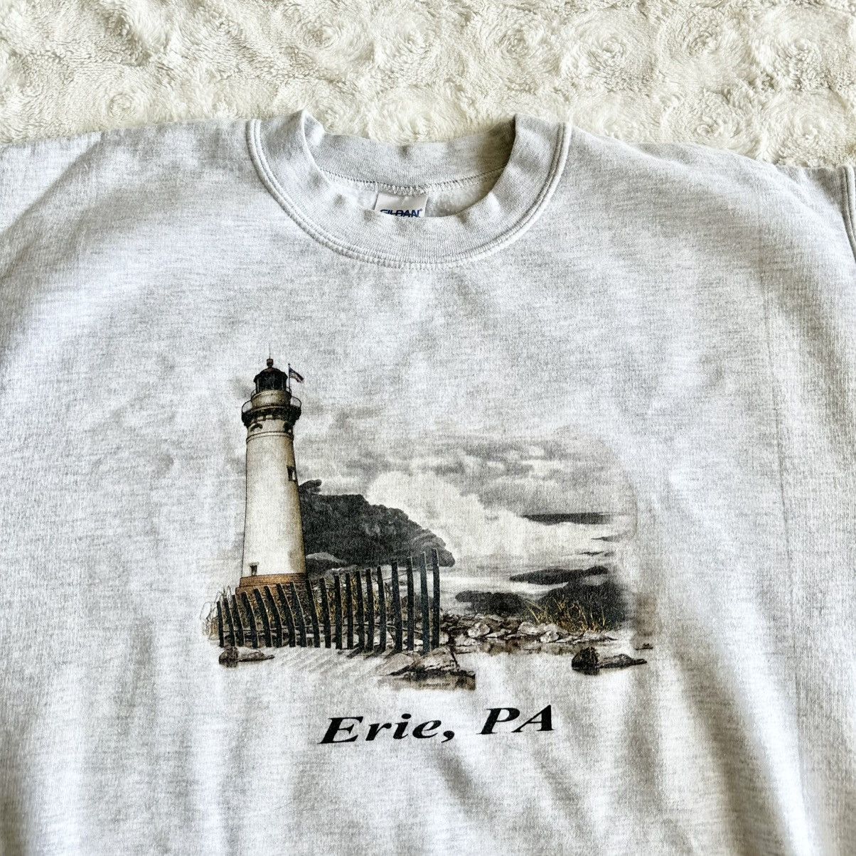 Gildan Vintage Lake Erie Pennsylvania Crewneck Sweatshirt Mens M Size US M / EU 48-50 / 2 - 3 Thumbnail