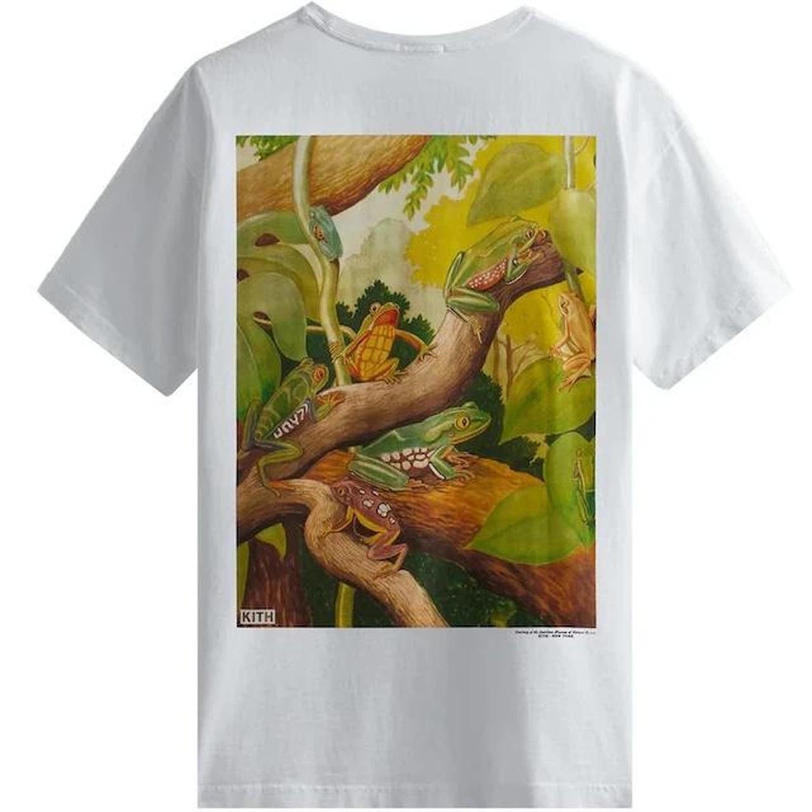 image of Kith X Amnh Amphibians Vintage T Shirt in White, Men's (Size 2XL)