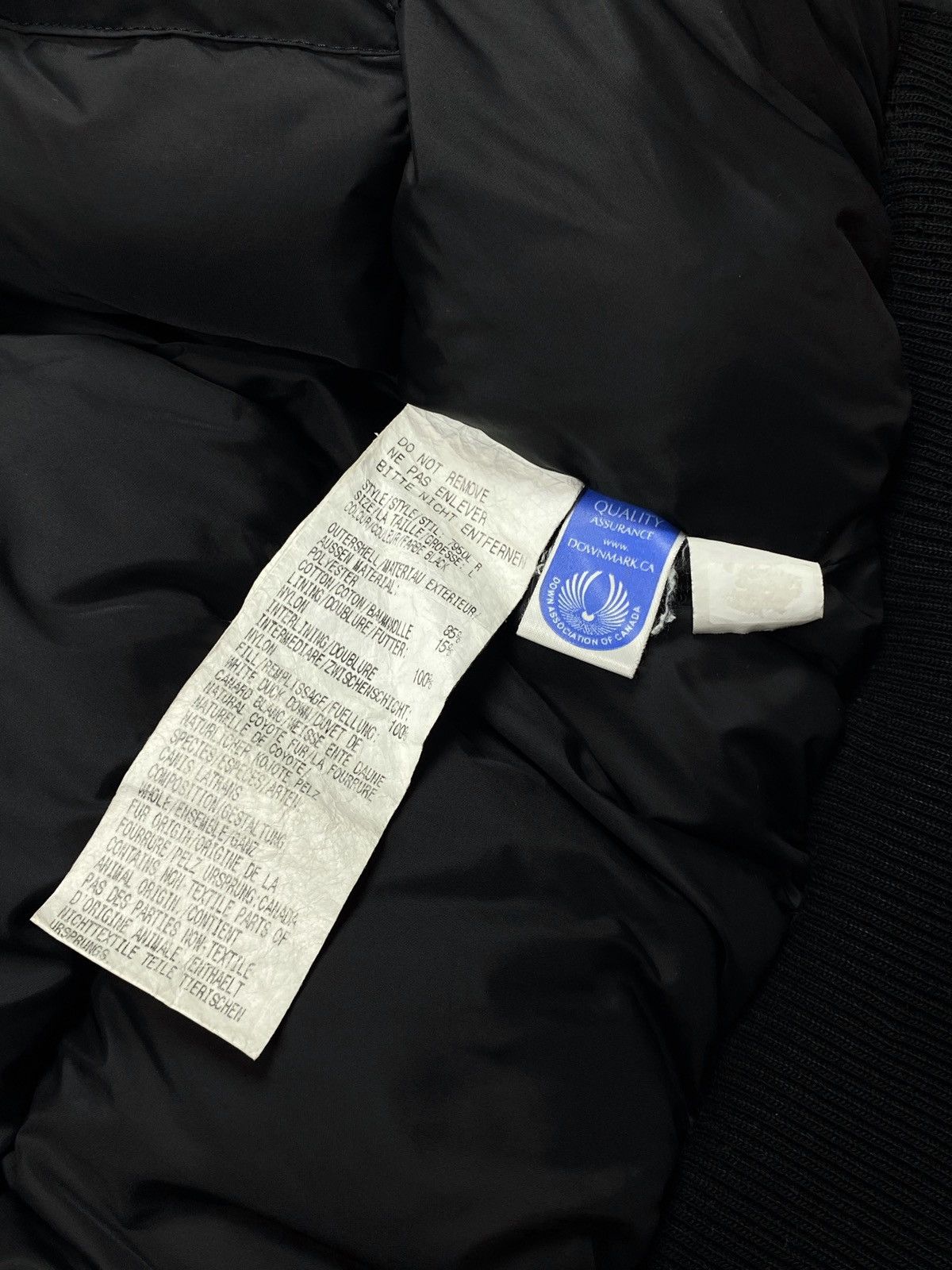 Canada Goose Canada Goose Chilliwack Bomber Size L / US 10 / IT 46 - 9 Thumbnail