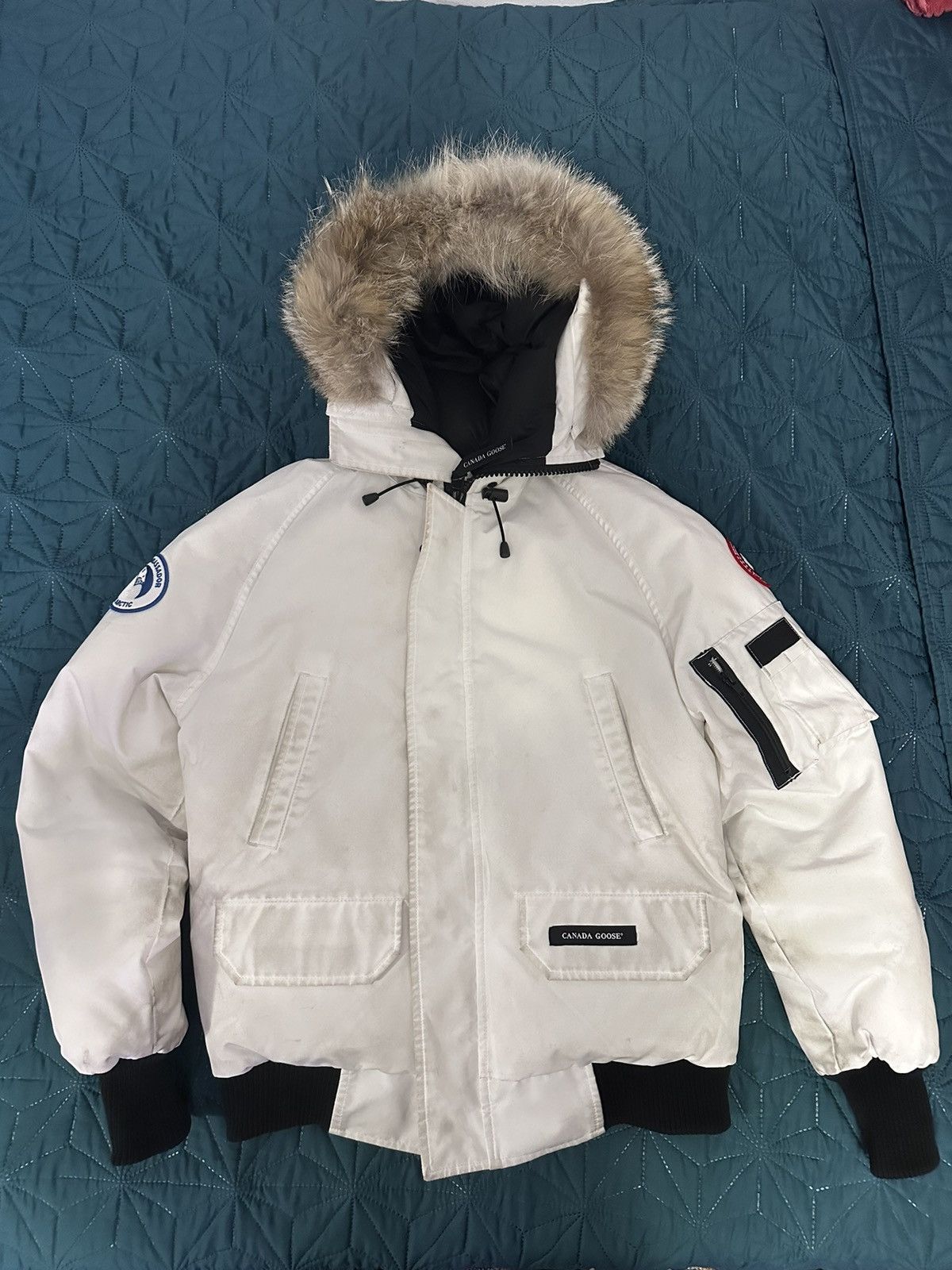 image of Canada Goose Chilliwack Bomber Pbi White With Fur, Men's (Size XS)