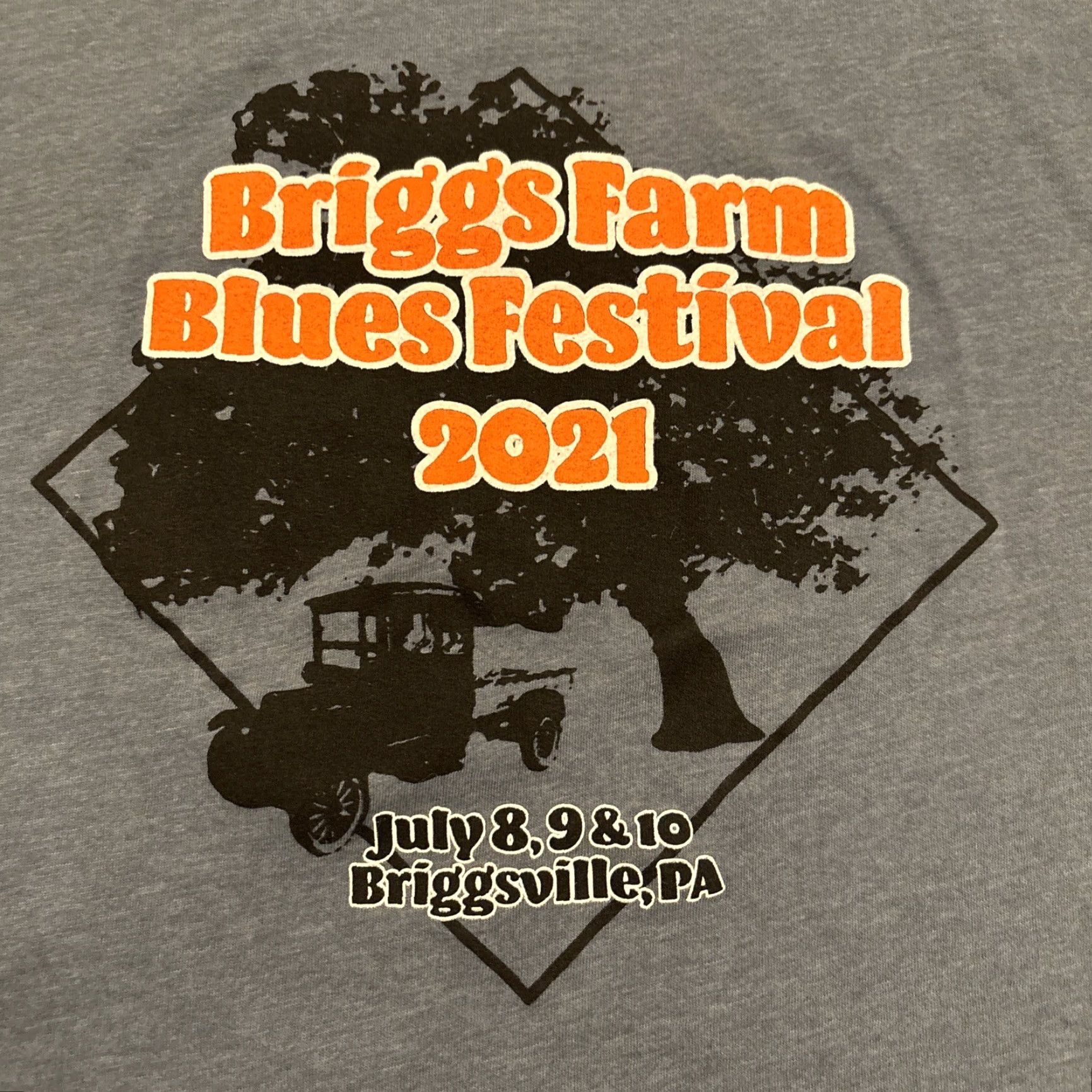 Vintage Briggs Farm Blues Festival shirt 2021 Brigsville pa Size XXL Blue Size XXL / US 16-18 / IT 52-54 - 2 Thumbnail