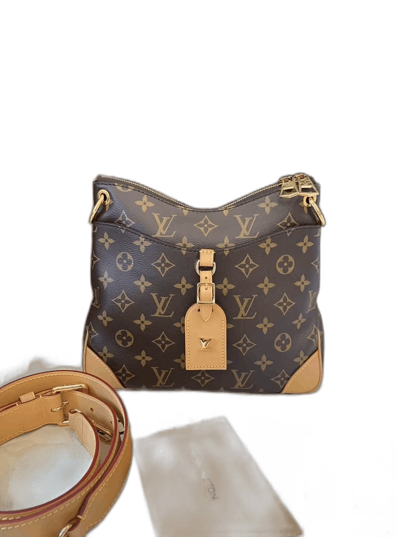 Louis Vuitton Louis Vuitton Small Shoulder Bag with Dust Bag Size ONE SIZE - 1 Thumbnail