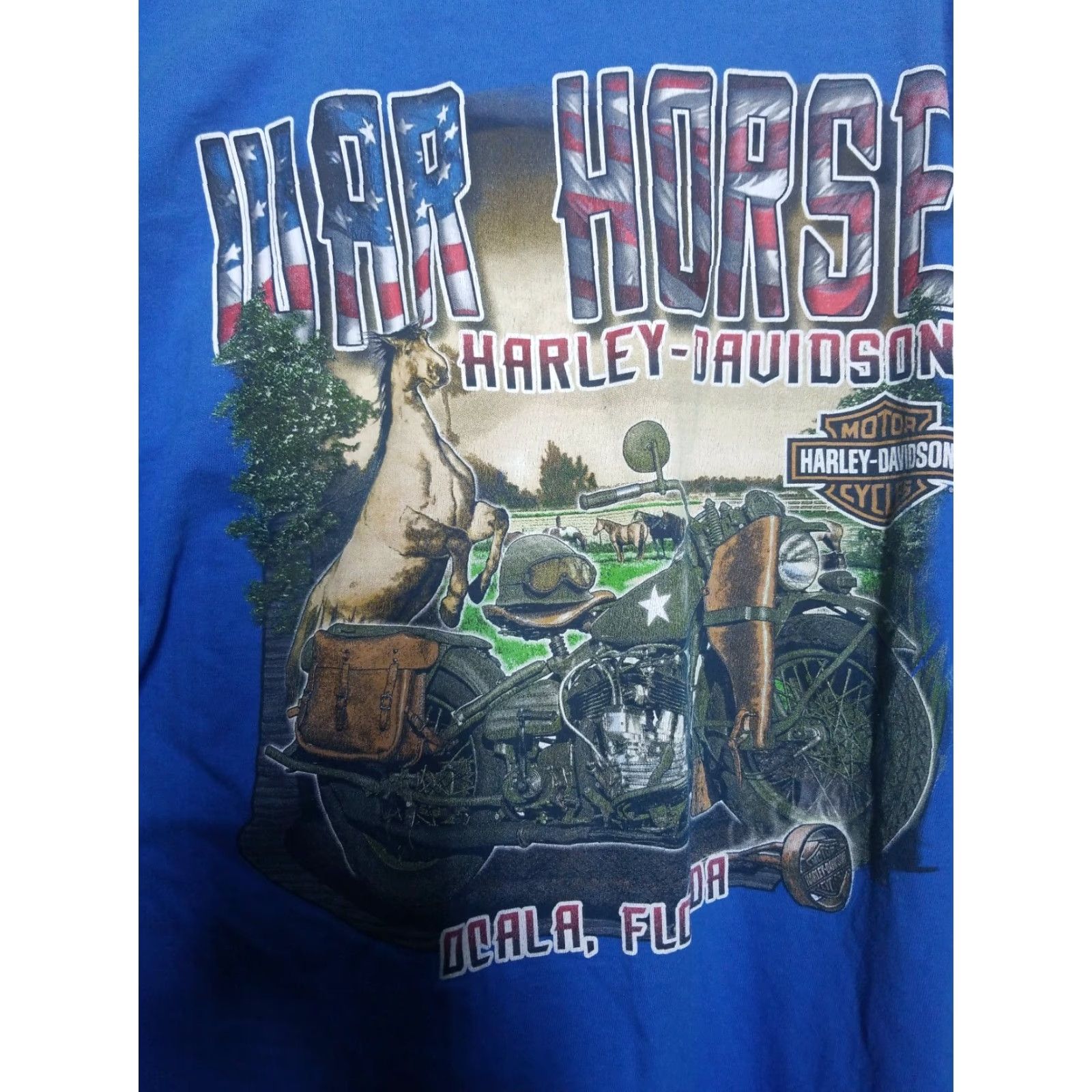 Harley Davidson VINTAGE Harley-Davidson Mens T-Shirt Motorcycle Florida 2016 XL Blue Graphic Tee Men's Size US XL / EU 56 / 4 - 4 Thumbnail