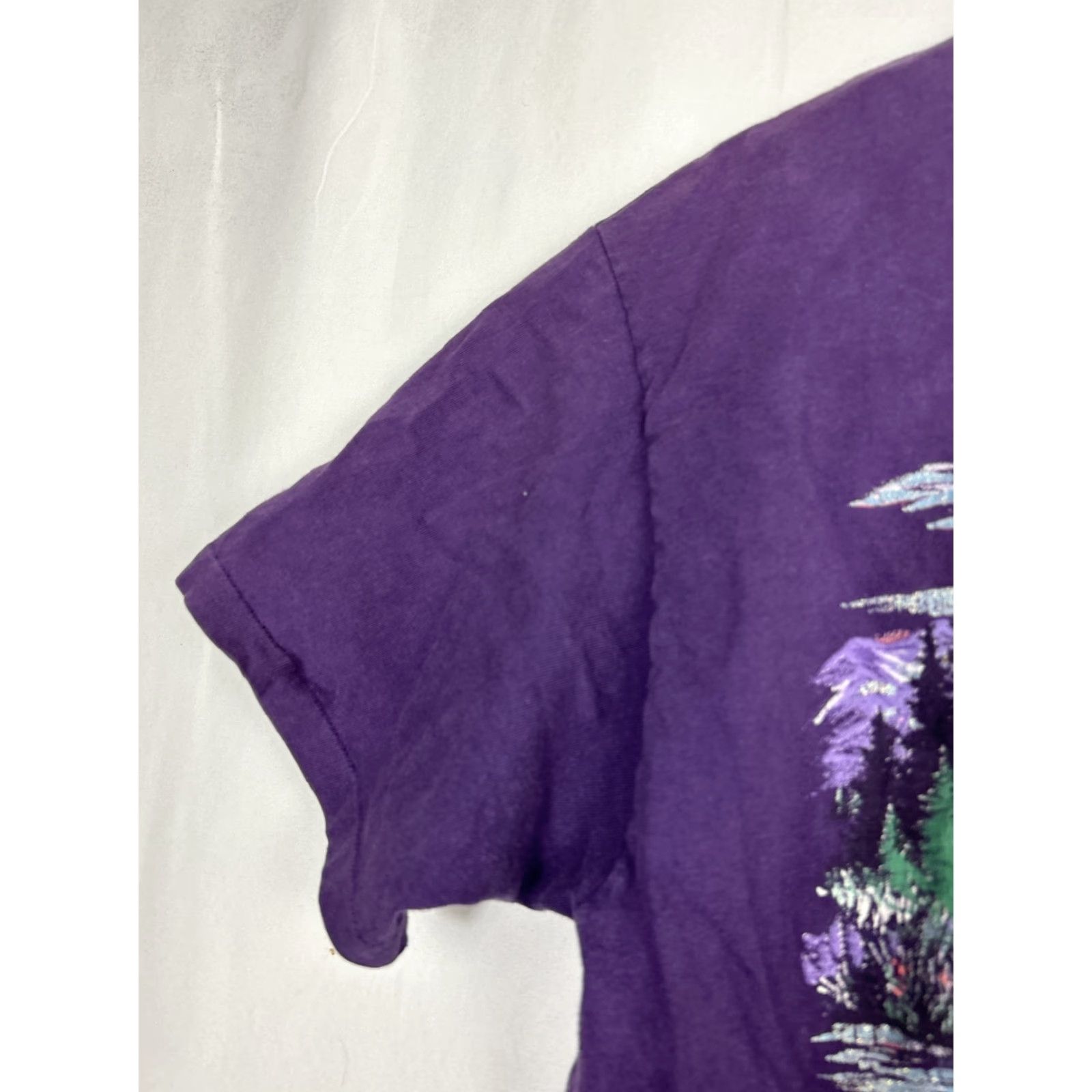 Hanes VINTAGE Hanes Mountain Spirit Utah Landscape 1993 Tee T-Shirt Women L Purple 1990s Cotton Nature Shirt Size L / US 10 / IT 46 - 5 Thumbnail