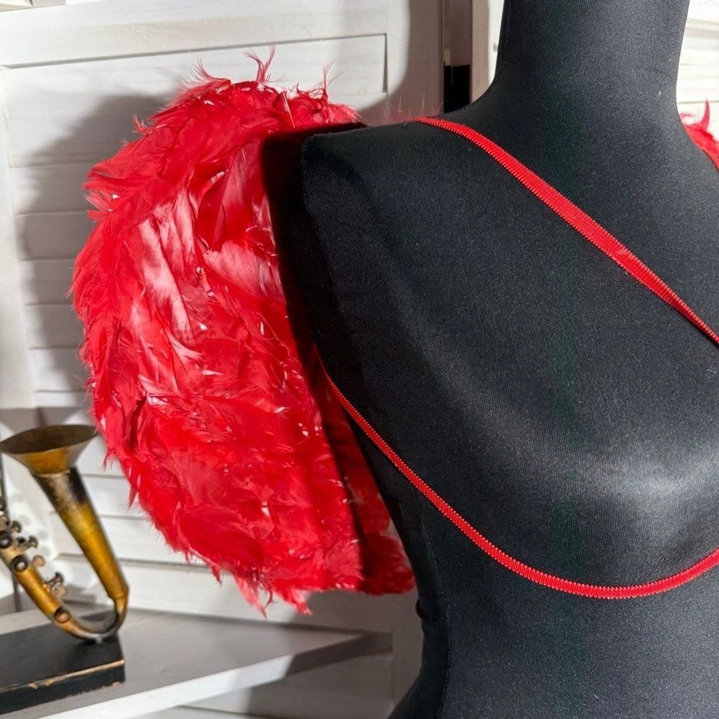 Vintage Feather Devil Angel Wings Costume Backpack-Style Red OS Size ONE SIZE - 3 Thumbnail