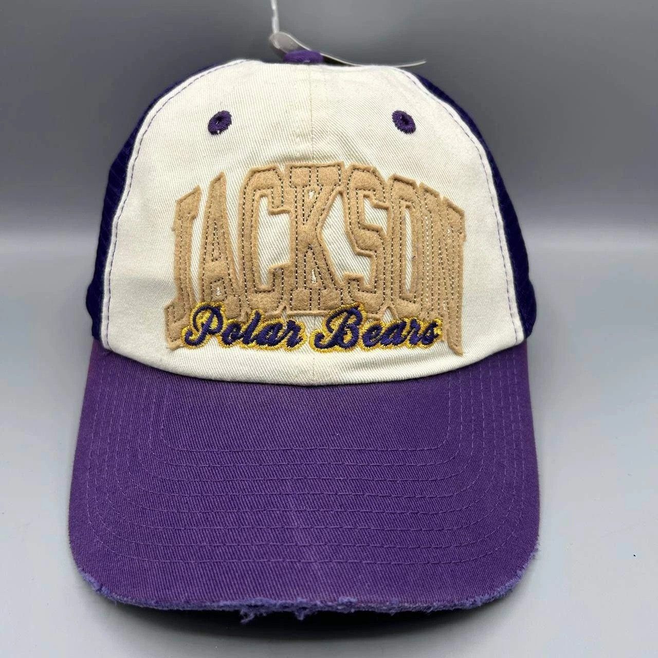 Other Vintage Jackson Polar Bear Captivating Headgear Snap Back Size ONE SIZE - 1 Thumbnail