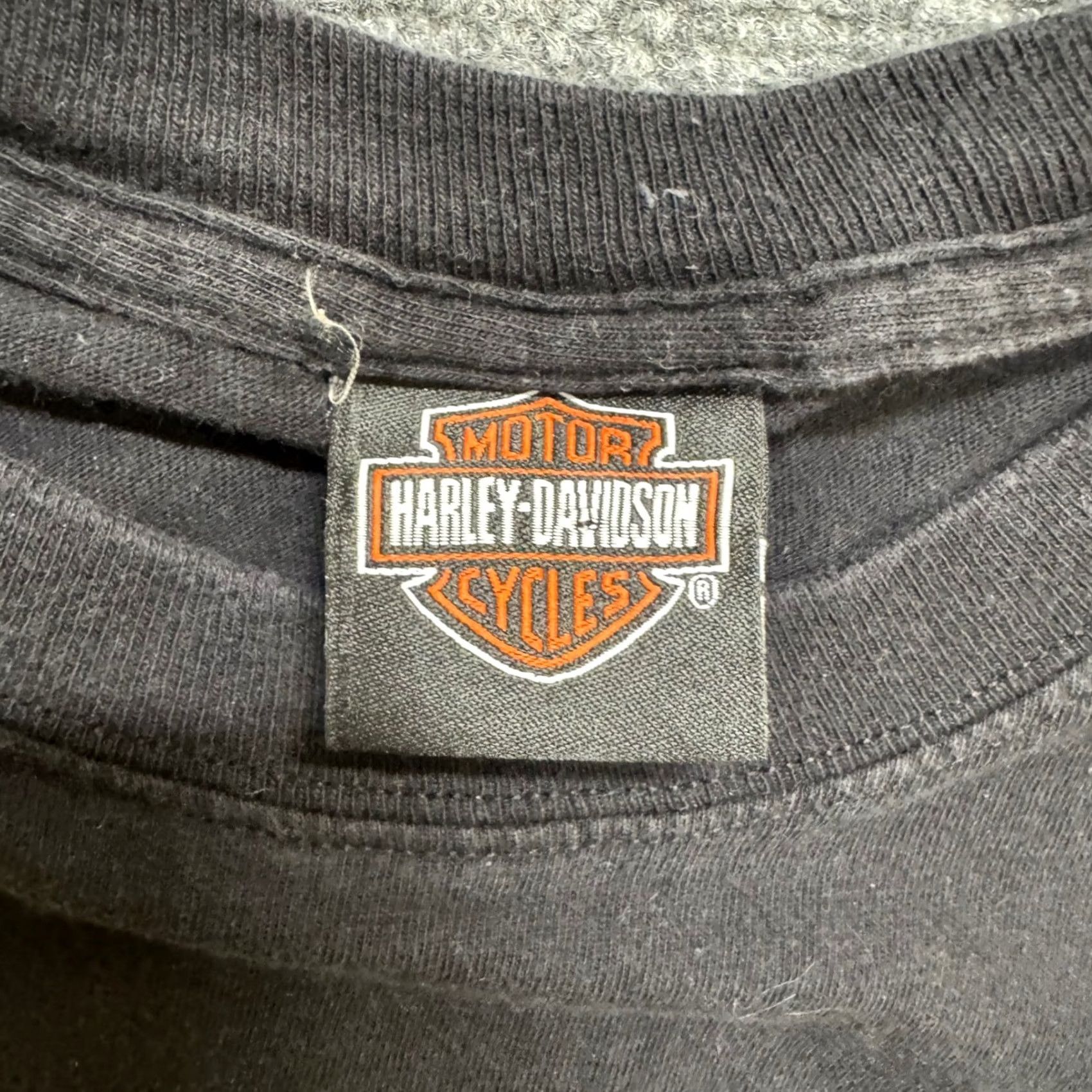 Harley Davidson VINTAGE Harley Davidson T-shirt M Black Men's Y2K Grunge Aspen Eagle Shirt Size US M / EU 48-50 / 2 - 4 Thumbnail