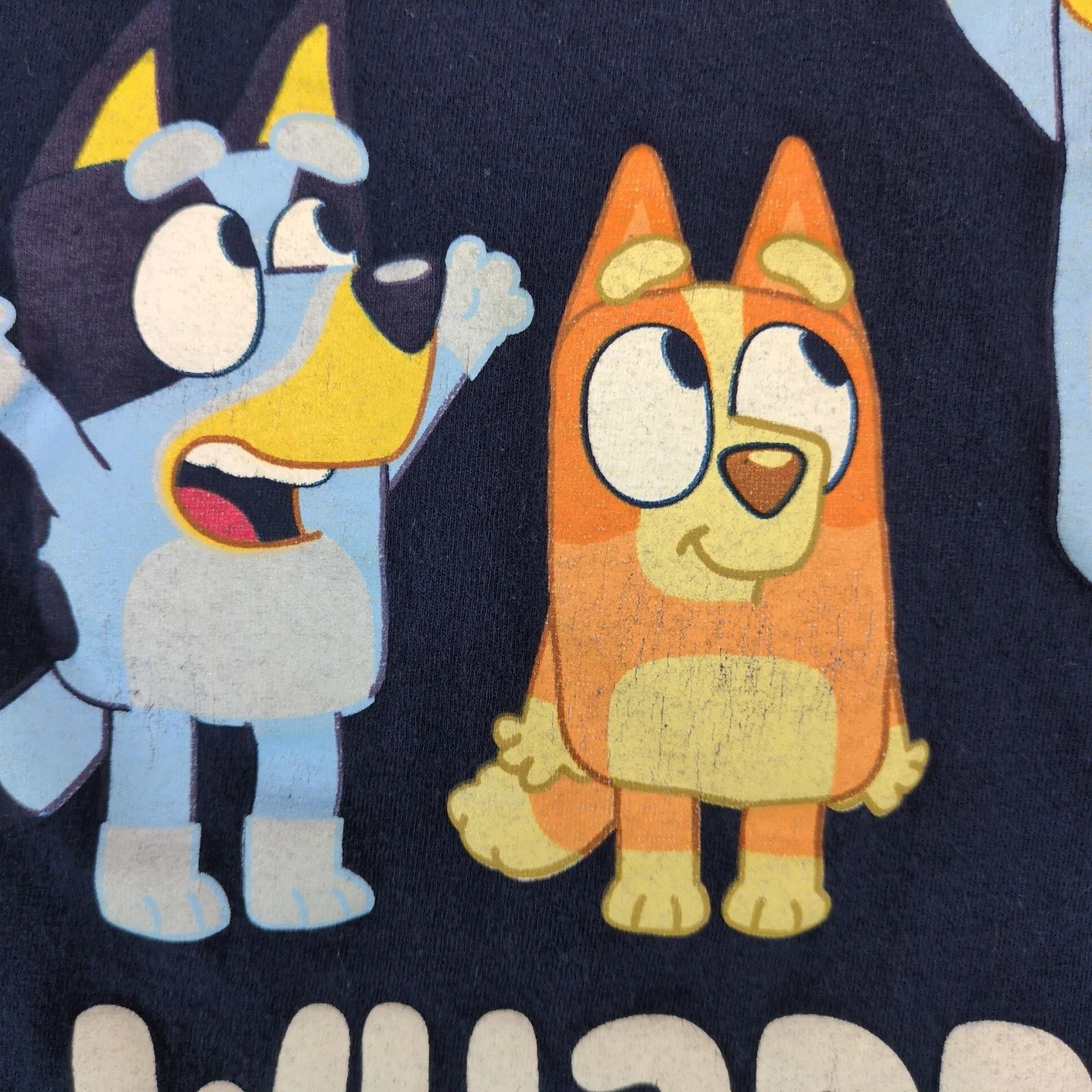 Other Bluey Whaddup Party People Graphic T-Shirt Men's M Short Slv Size US M / EU 48-50 / 2 - 10 Thumbnail