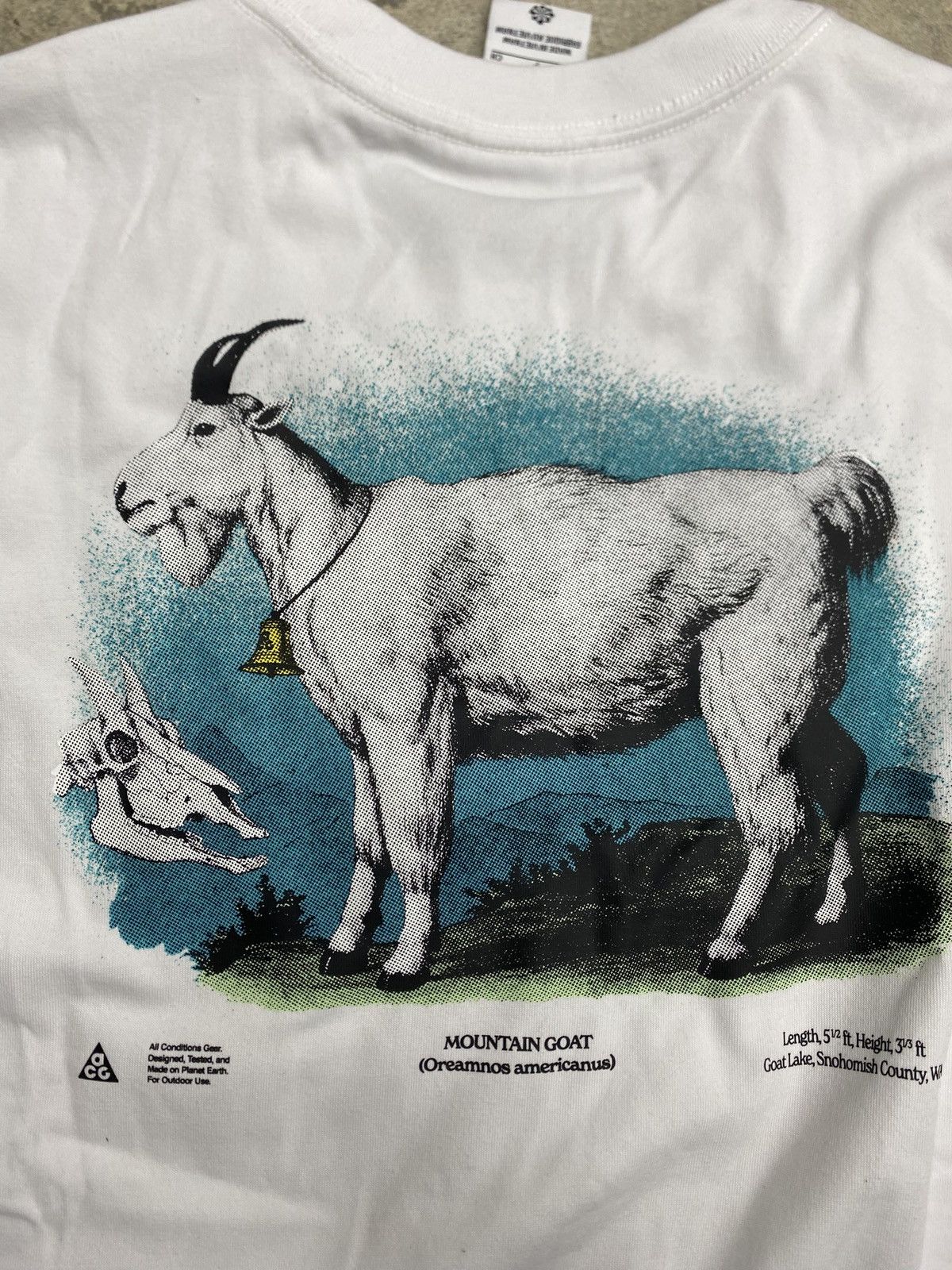 Nike ACG Nike ACG Goat Tee Size US S / EU 44-46 / 1 - 5 Thumbnail