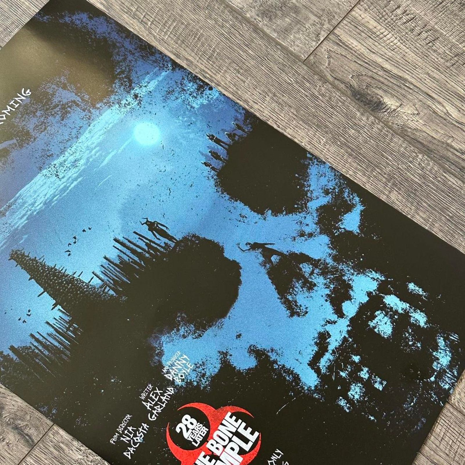 Other Rare 2026 28 Years Later Bone Temple Movie Promo Poster Size ONE SIZE - 3 Thumbnail