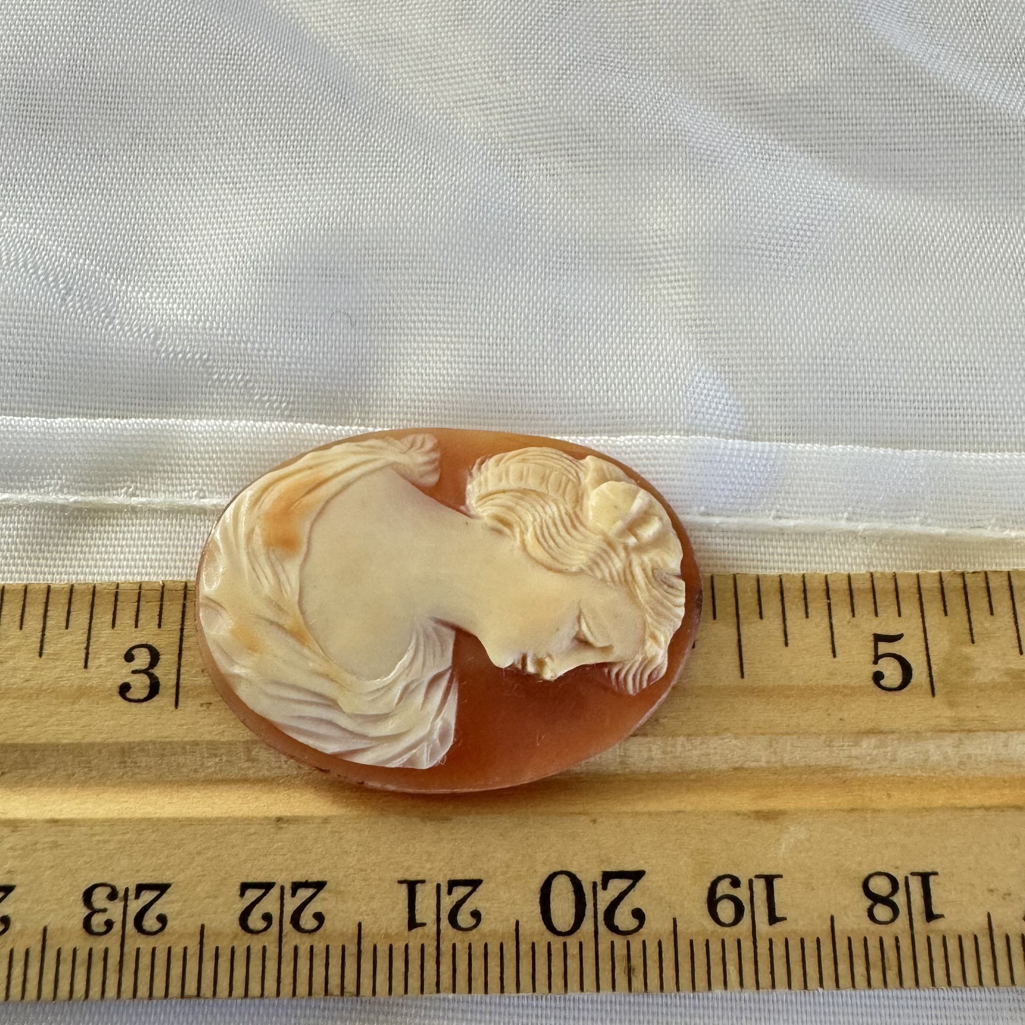 Vintage Antique Victorian Lady Profile Oval Carved Shell Loose Cameo Size ONE SIZE - 5 Thumbnail