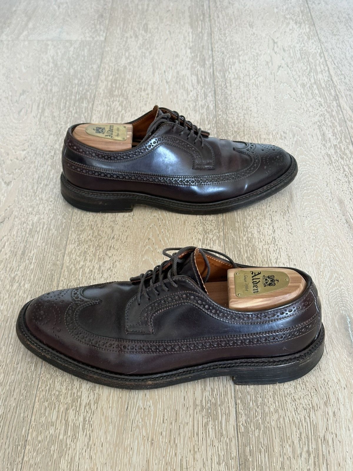 Alden Color 8 Shell Cordovan Long Wing