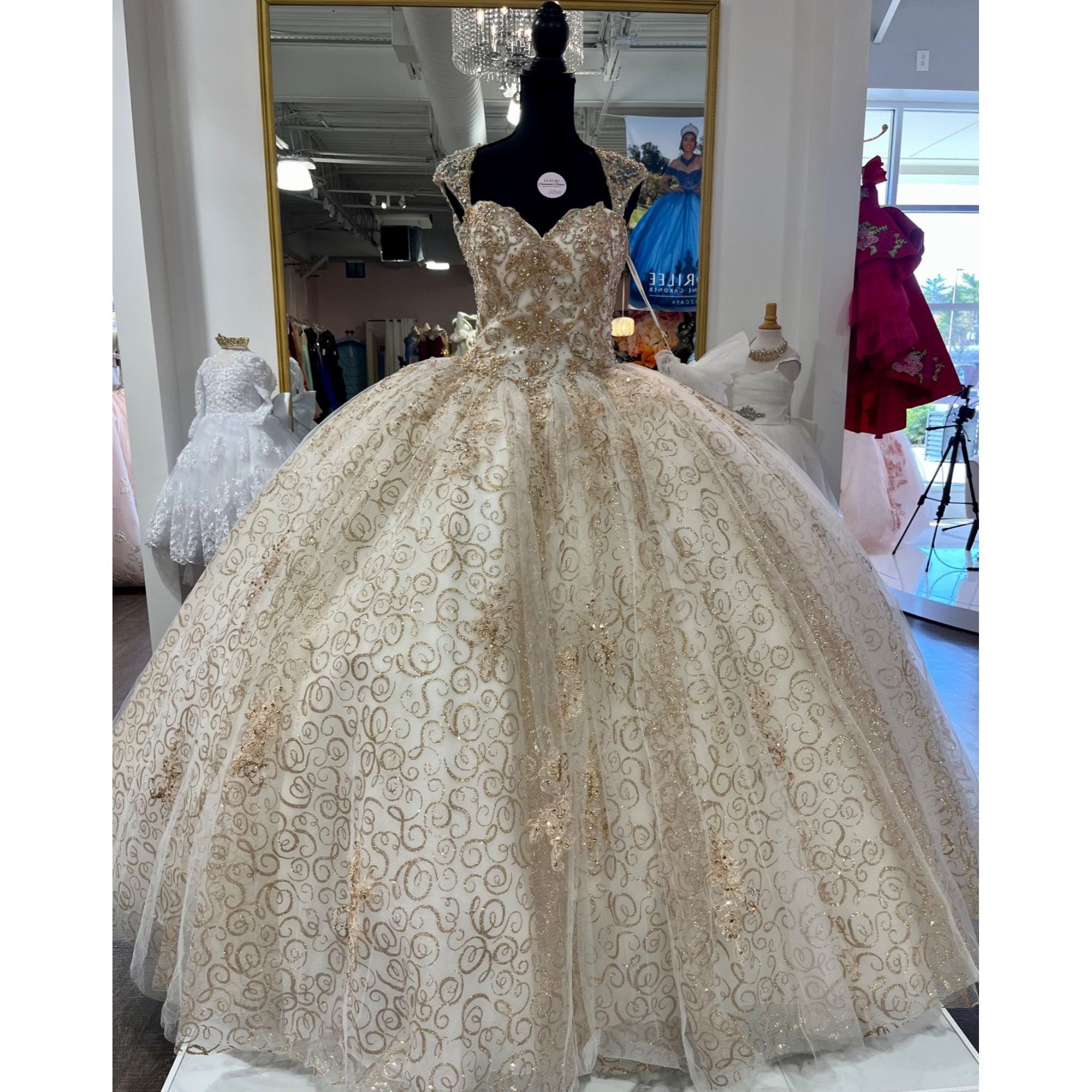 Other 89246 Quinceanera dress by Vizacaya Crystal Beaded, Metallic Size M / US 6-8 / IT 42-44 - 1 Thumbnail