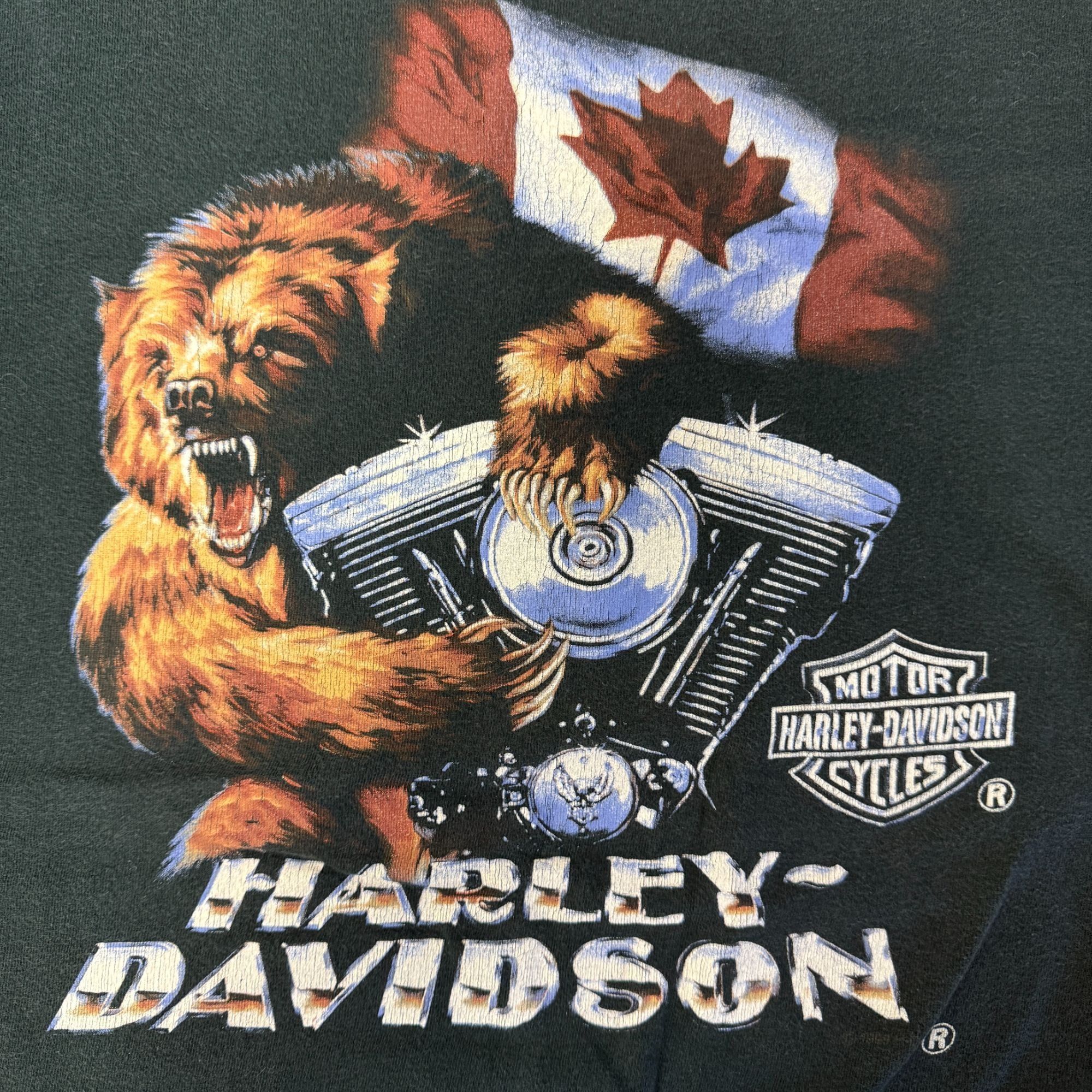 Harley Davidson Motorcycle BEAR Steve Drane Victoria CANADA Licensed T Shirt Size US XXL / EU 58 / 5 - 3 Thumbnail