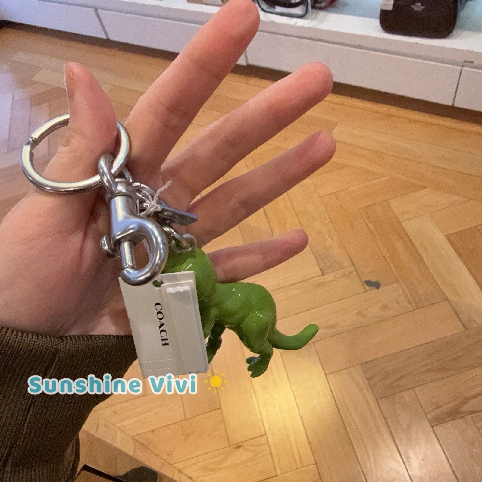 Coach NWT Coach CAX75 Keychain T-Rex Dinosaur Bag Charm Size ONE SIZE - 4 Thumbnail