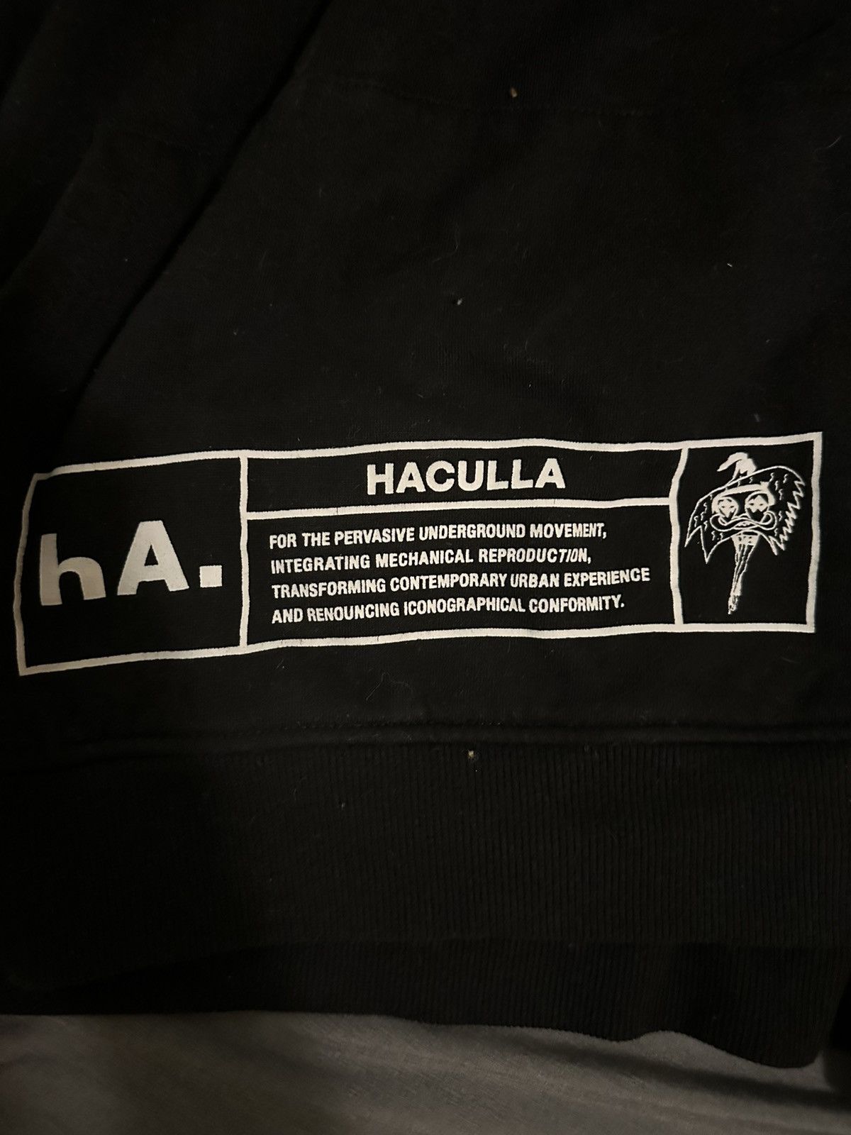 Haculla Haculla Hoodie Size US L / EU 52-54 / 3 - 2 Thumbnail