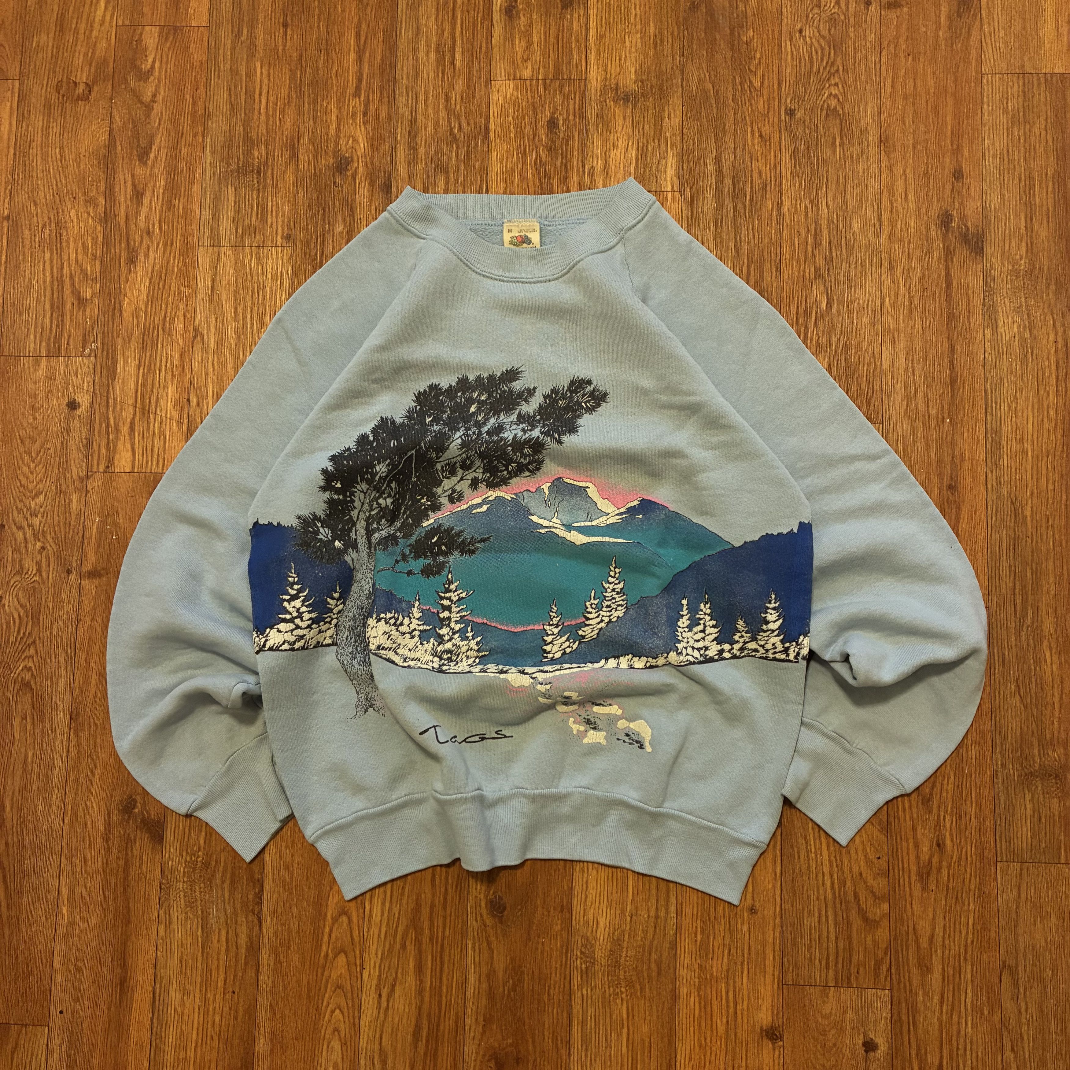Fruit Of The Loom Vintage 90s Fruit of the Loom Mountain & Nature Crewneck Size M / US 6-8 / IT 42-44 - 1 Thumbnail