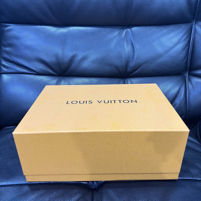 Louis Vuitton Louis Vuitton Skate Leather Sneakers for Men and Women -250 Size US 8.5 / IT 38.5 - 6 Thumbnail