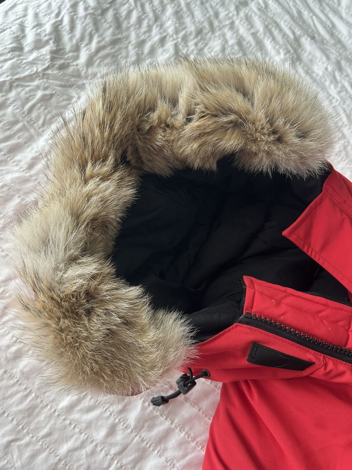 Canada Goose Canada Goose Expedition Parka Size US M / EU 48-50 / 2 - 6 Thumbnail