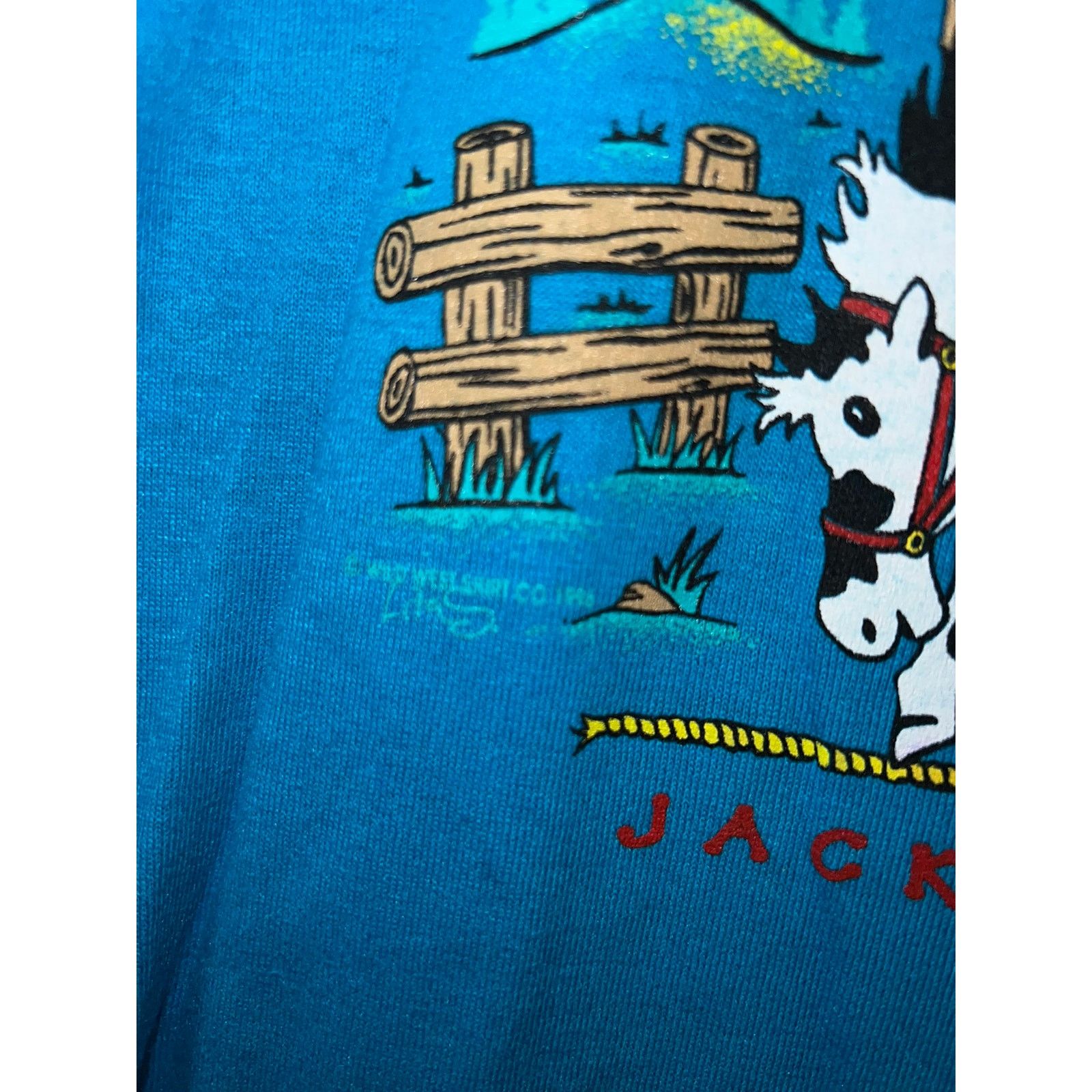 Jerzees 90s Youth Bear Back In Wyoming Jackson Hole Shirt M 10-12 Size US M / EU 48-50 / 2 - 5 Thumbnail