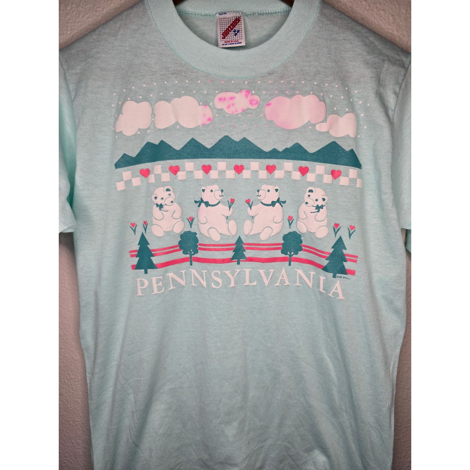 Jerzees Vintage Pennsylvania Shirt Cottagecore Teddy Bear Tee 1980s Size US M / EU 48-50 / 2 - 2 Thumbnail