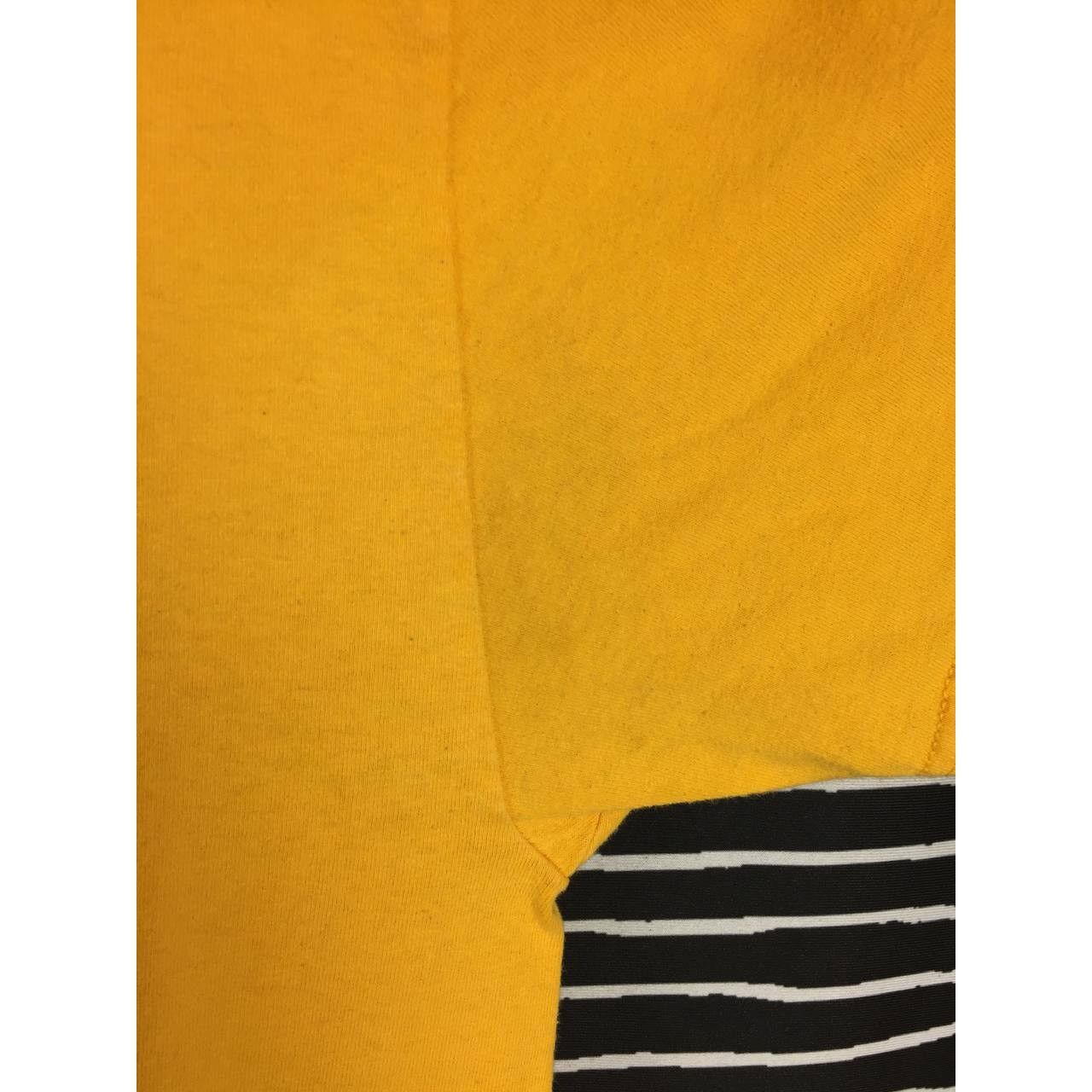 Other Snack Skateboards Turmeric Curcuma Longa Plant Native Tee Size US L / EU 52-54 / 3 - 10 Thumbnail