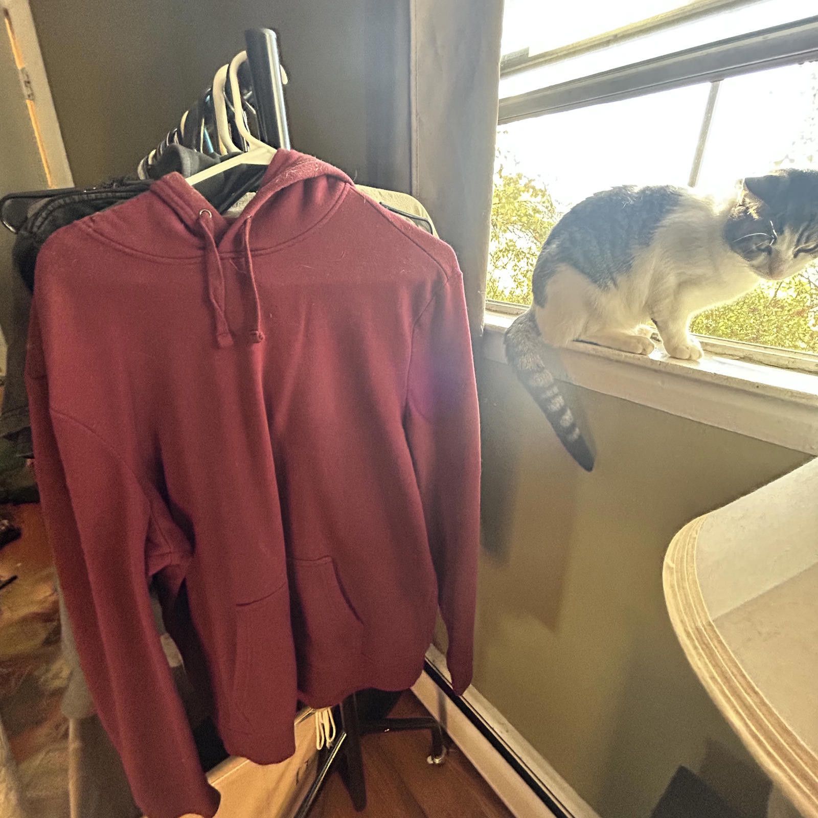 Urban Pipeline The Awesomely Soft Ultimate Hoodie (L) Burgundy Cozy Comfort Size US L / EU 52-54 / 3 - 2 Thumbnail
