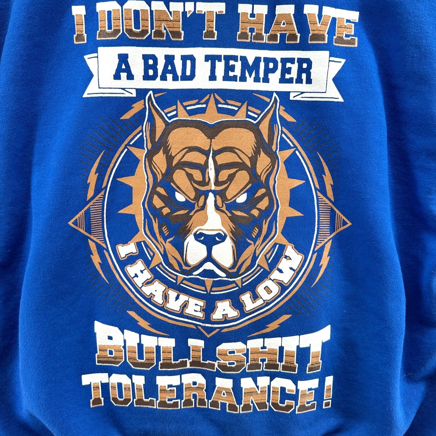 Gildan Gildan Pullover Hoodie Blue Men's XL Pockets Long Sleeve Regular Fit Winter Shirt Hoodie Mens XL Blue Pockets Size US XL / EU 56 / 4 - 7 Thumbnail