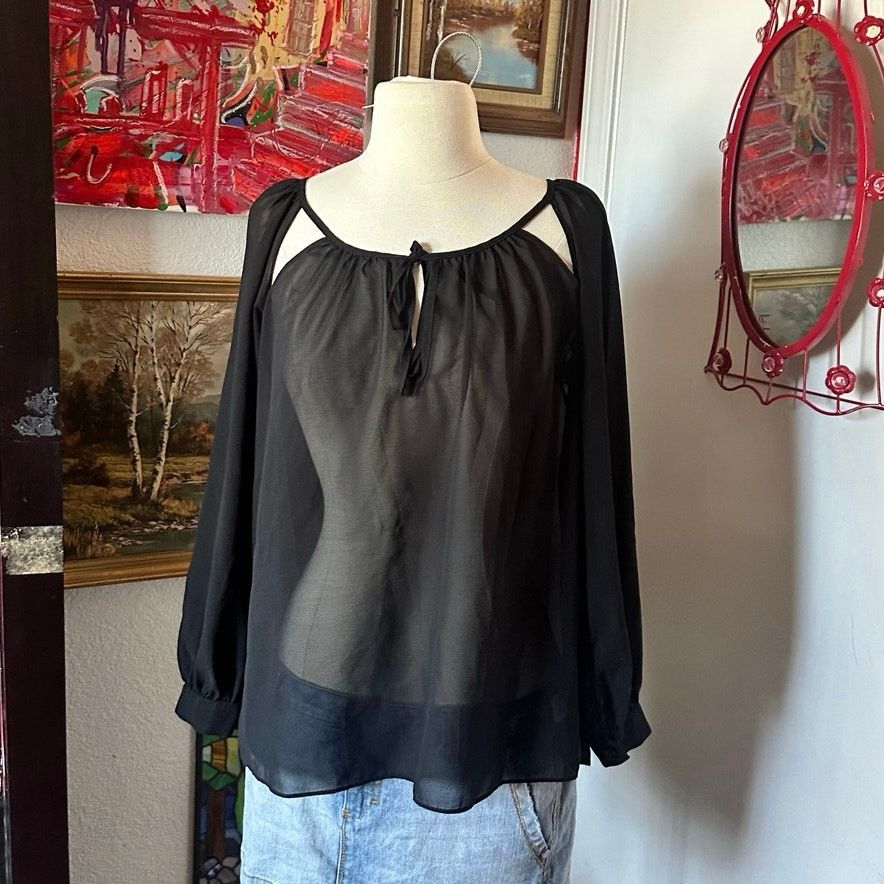 Other akira chicago black sheer mesh long sleeve blouse Size S / US 4 / IT 40 - 1 Thumbnail