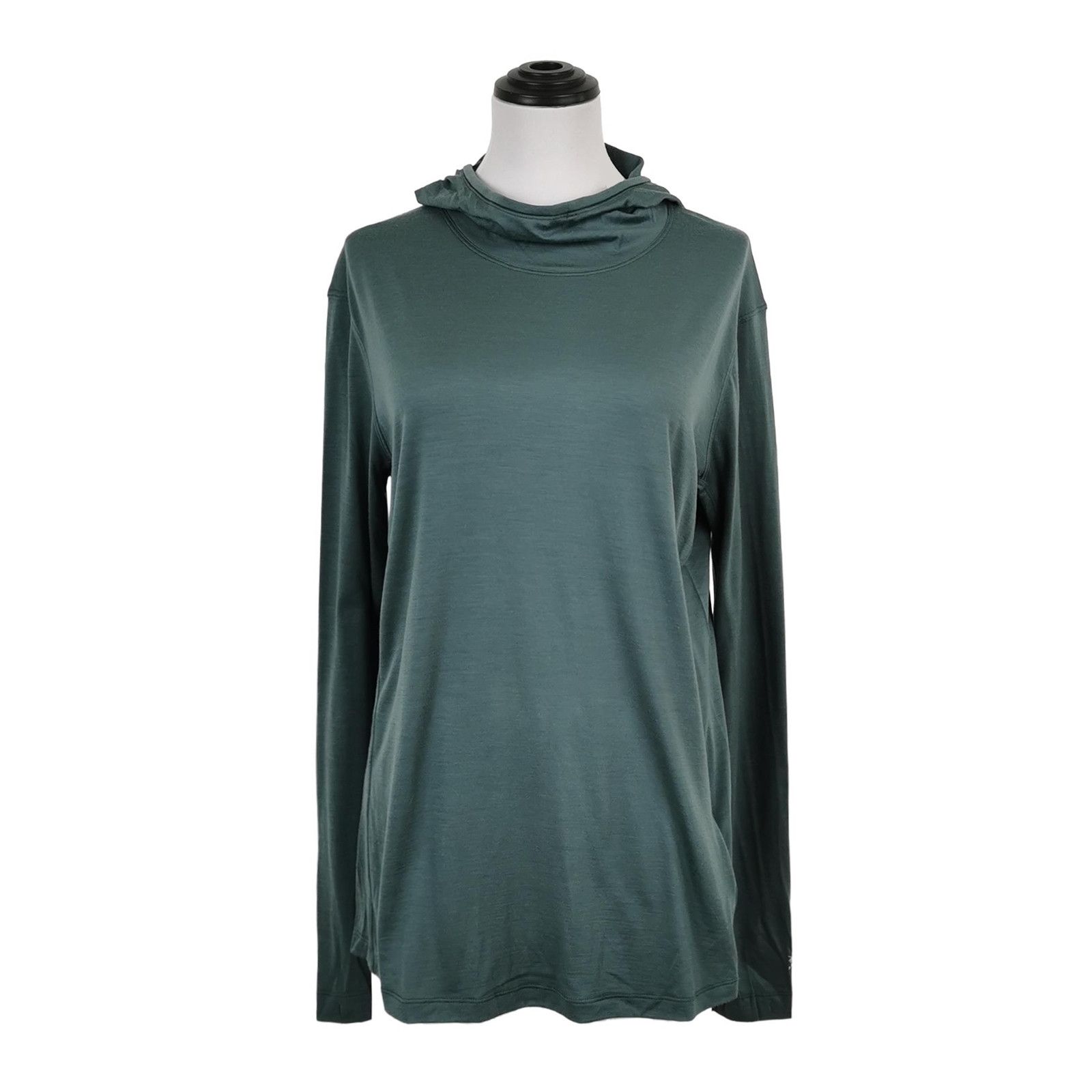 Arc'teryx Arc'teryx Lana Merino Wool Blend Solid Logo Hoody M Size M / US 6-8 / IT 42-44 - 1 Thumbnail
