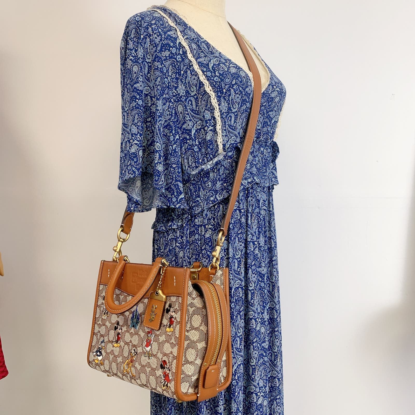 image of Coach C8553 Disney Rogue 25 Jacquard Mickey Mouse Friend in Brown, Women's