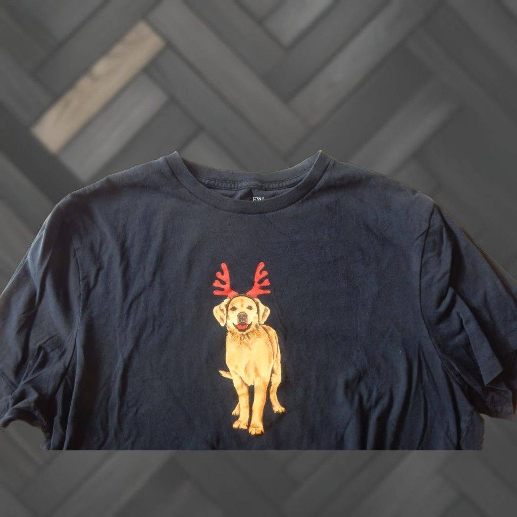 J.Crew J.CREW T-Shirt Men's L Christmas Blue Cotton Graphic Print Shirt Size US L / EU 52-54 / 3 - 1 Thumbnail